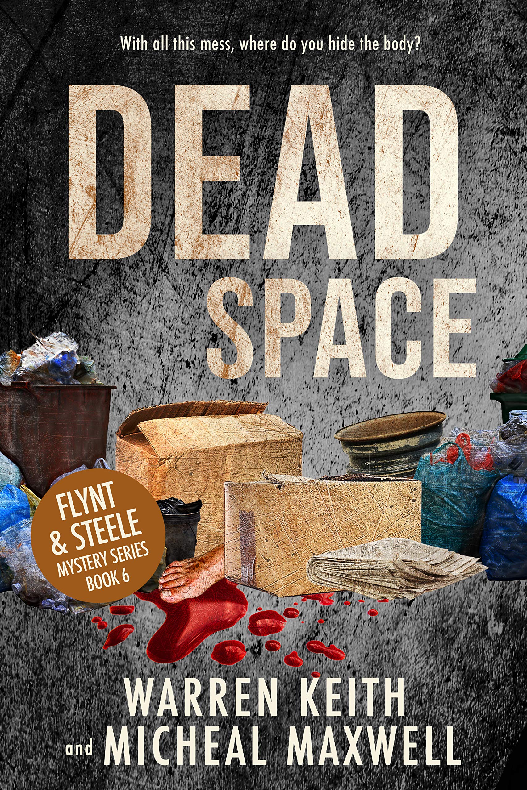 Dead Space : (Flynt and Steele Mysteries Book 6)