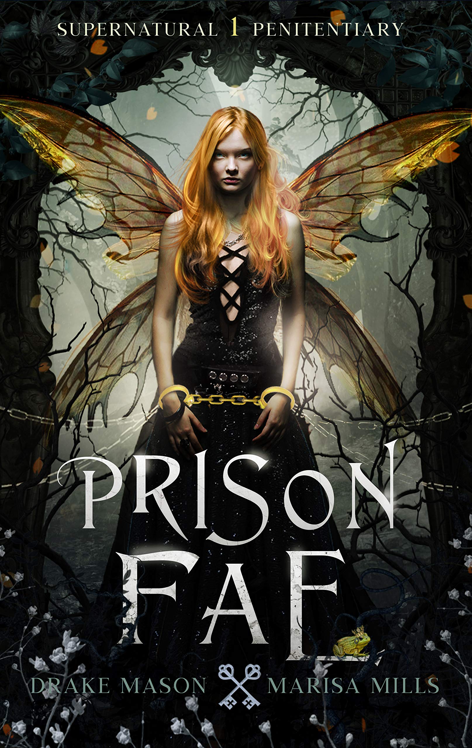 Prison Fae: Supernatural Penitentiary