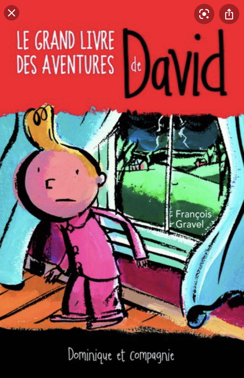Le grand livre des aventures de David book cover