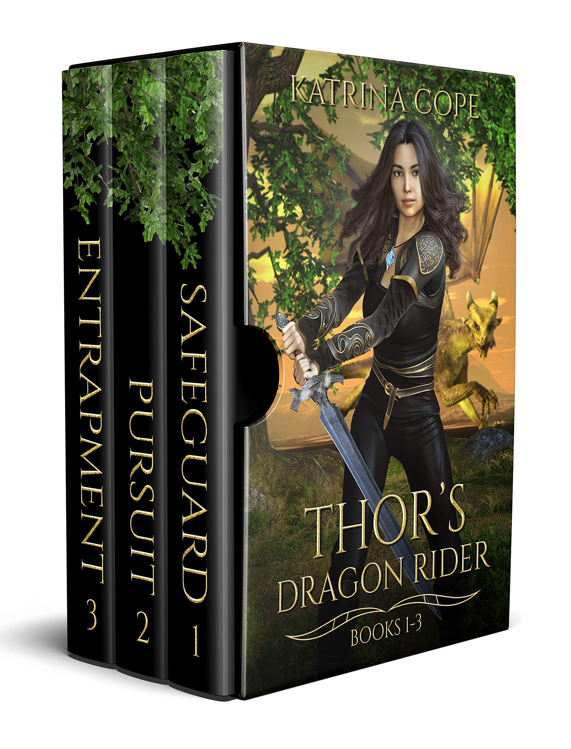 Thor's Dragon Rider Books 1 3 Safeguard, Pursuit & Entrapment by Katrina Cope Goodreads