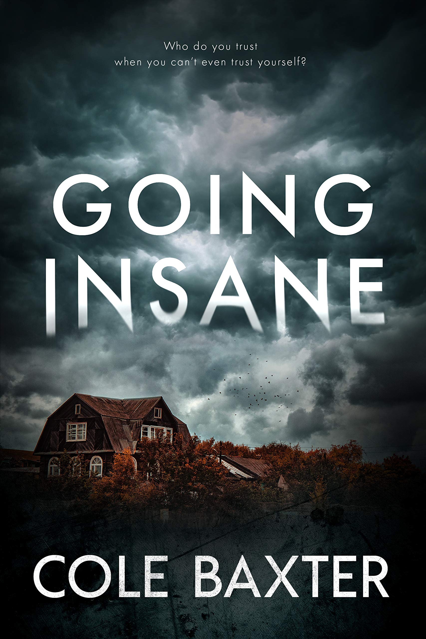 Going Insane book cover