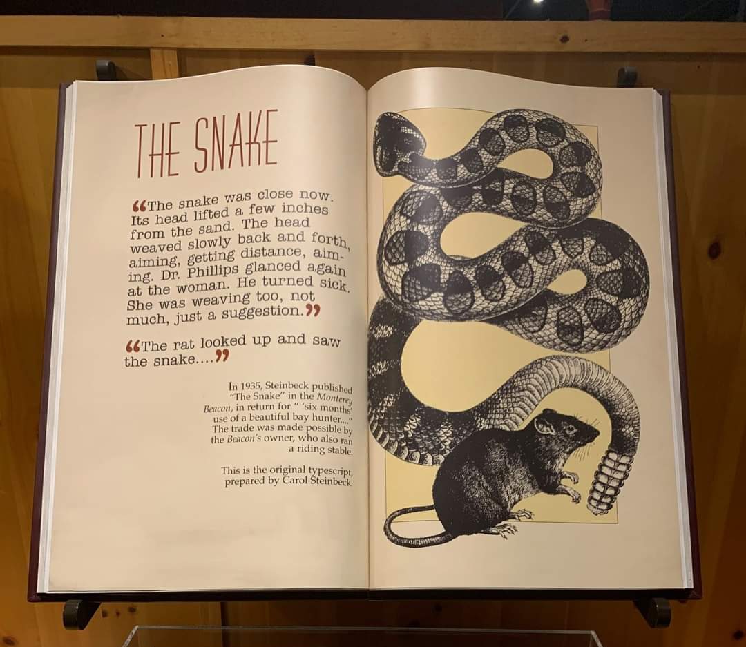 The Snake book cover