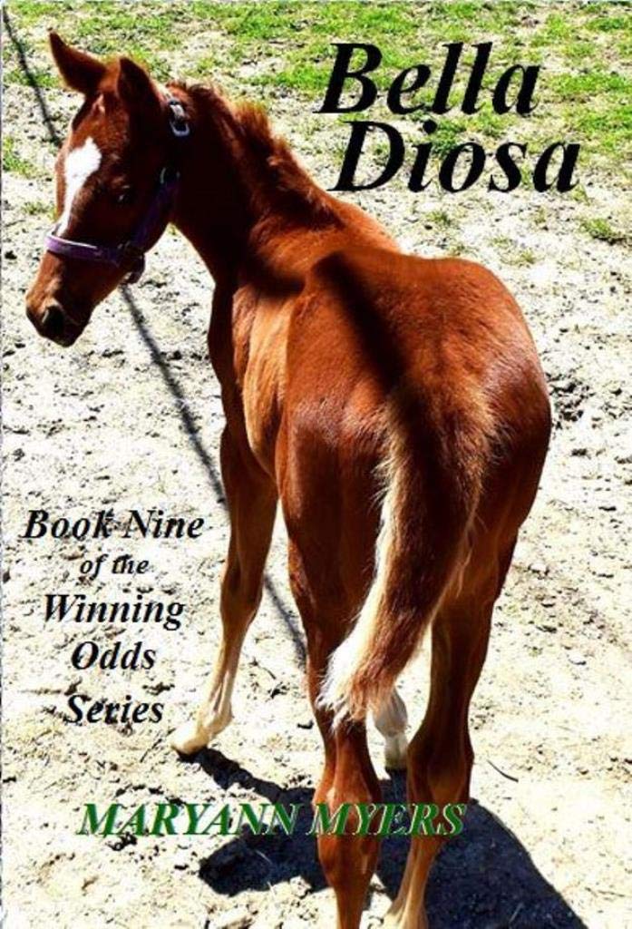 Bella Diosa : Book Nine of the Winning Odds Series