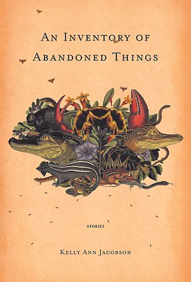 An Inventory of Abandoned Things book cover