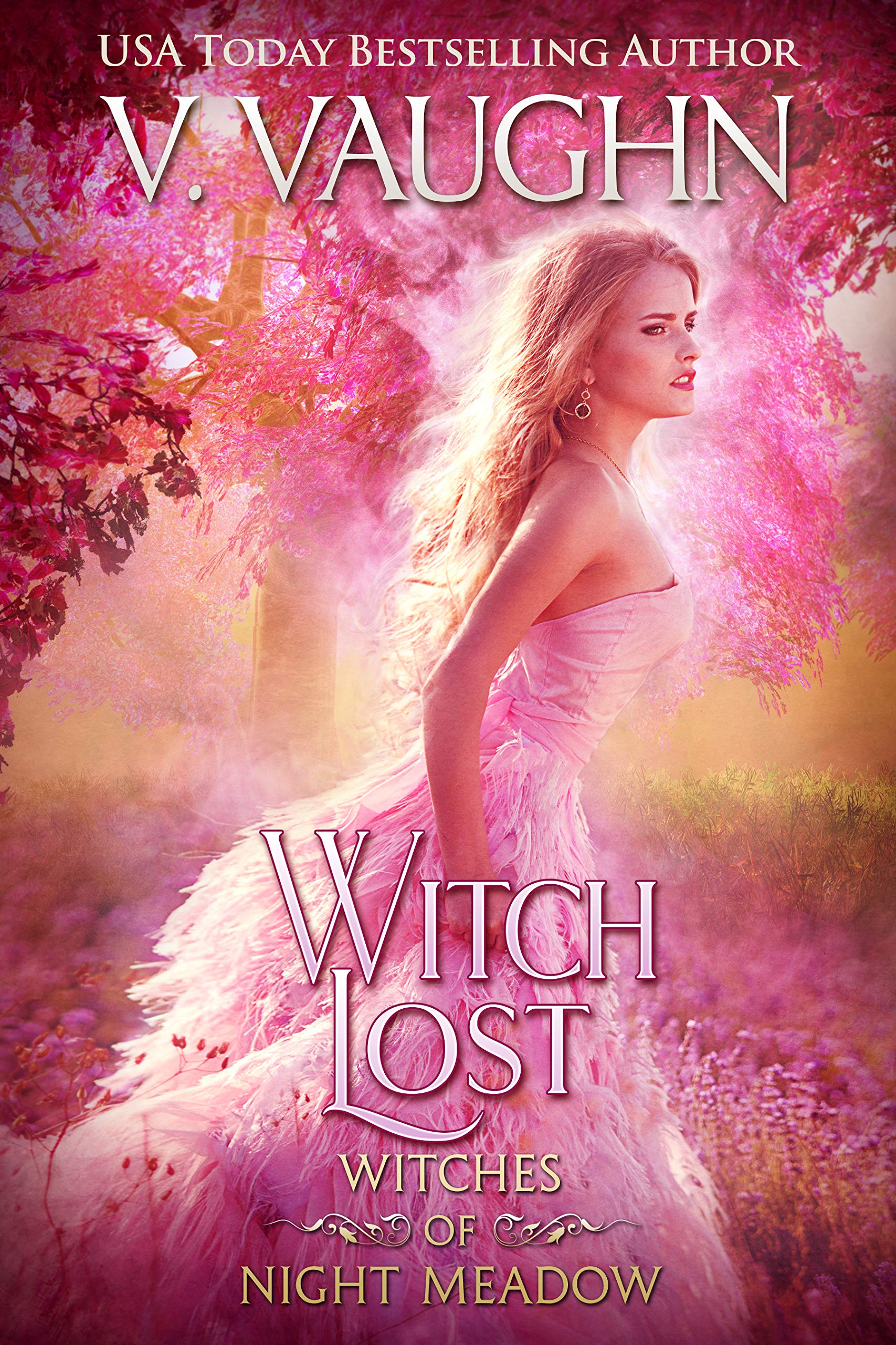 Witch Lost book cover