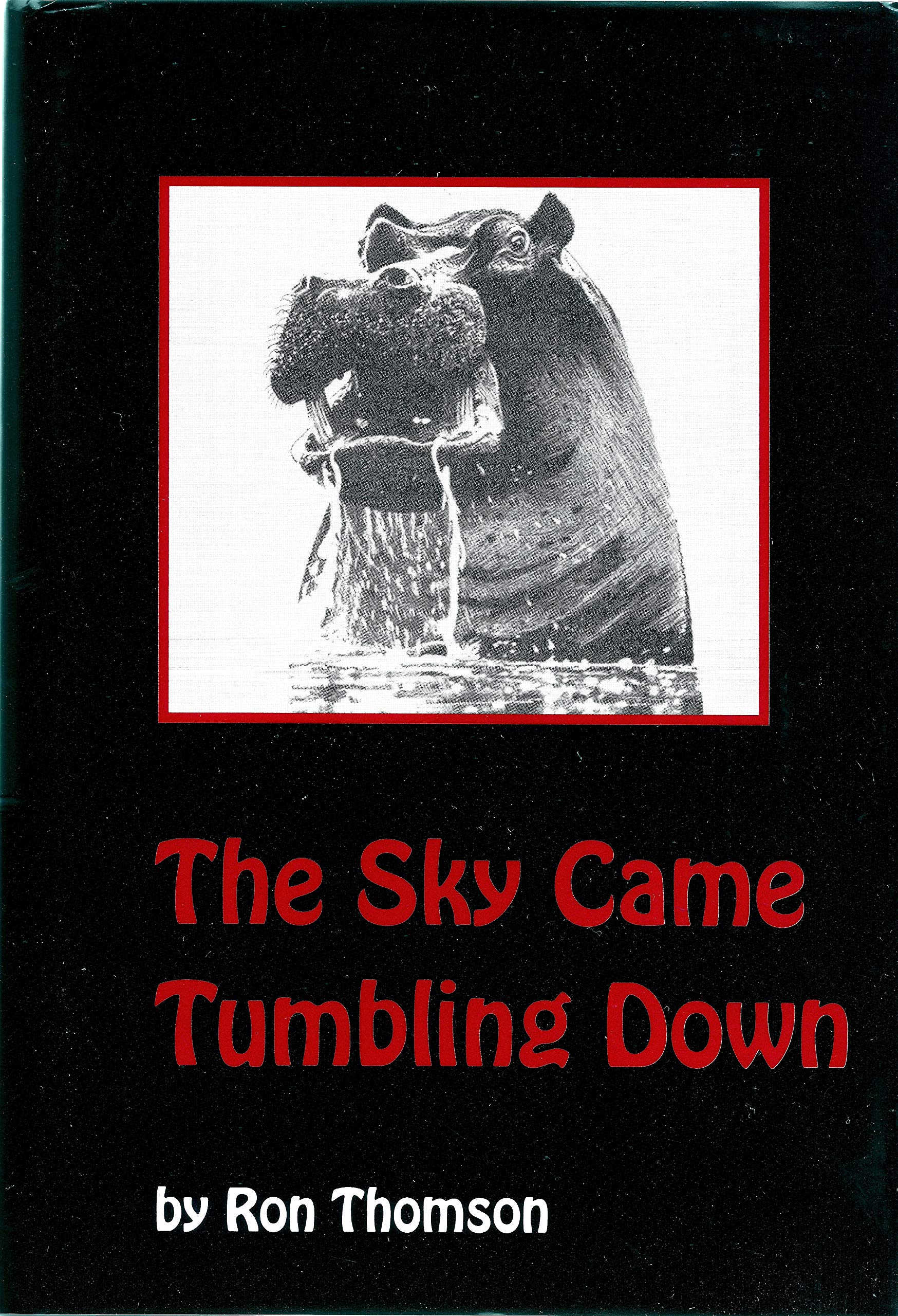 THE SKY CAME TUMBLING DOWN
