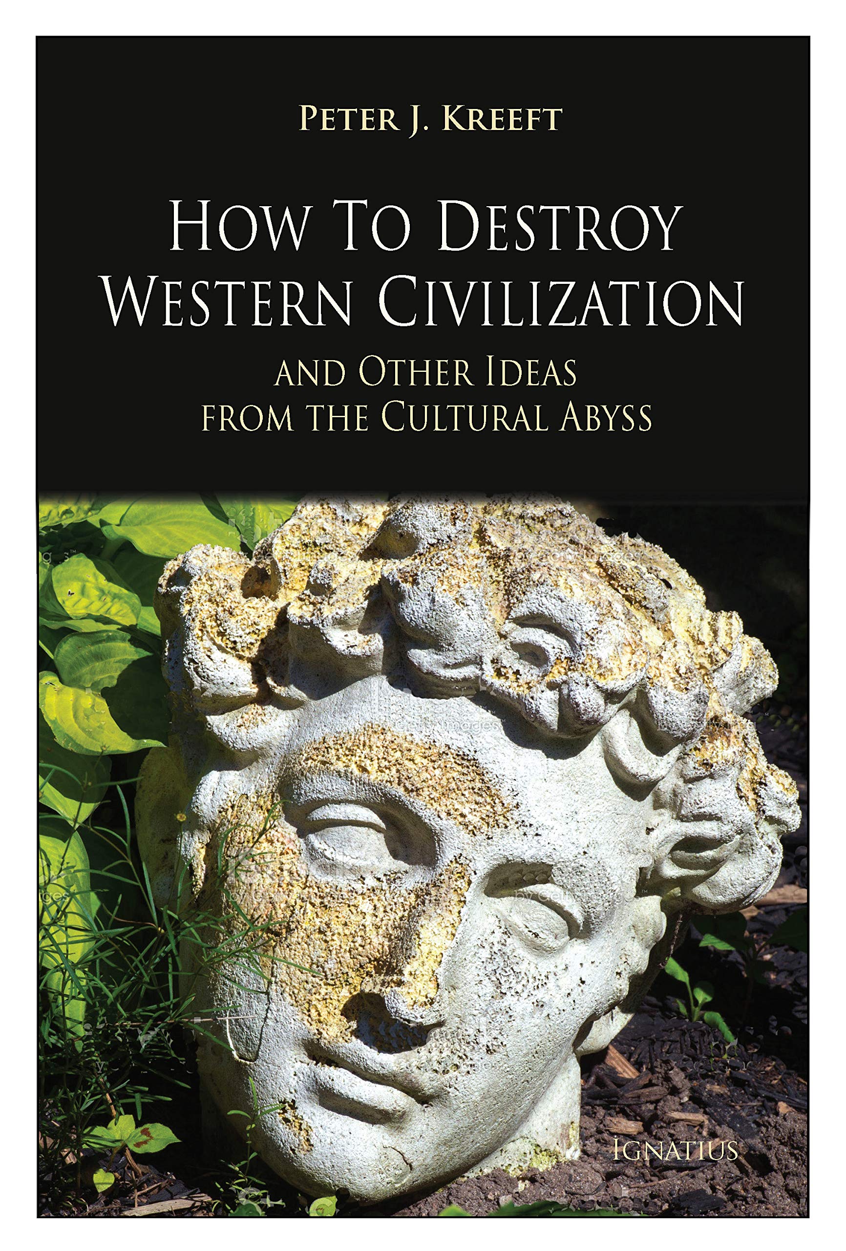 How to Destroy Western Civilization and Other Ideas from the Cultural Abyss book cover