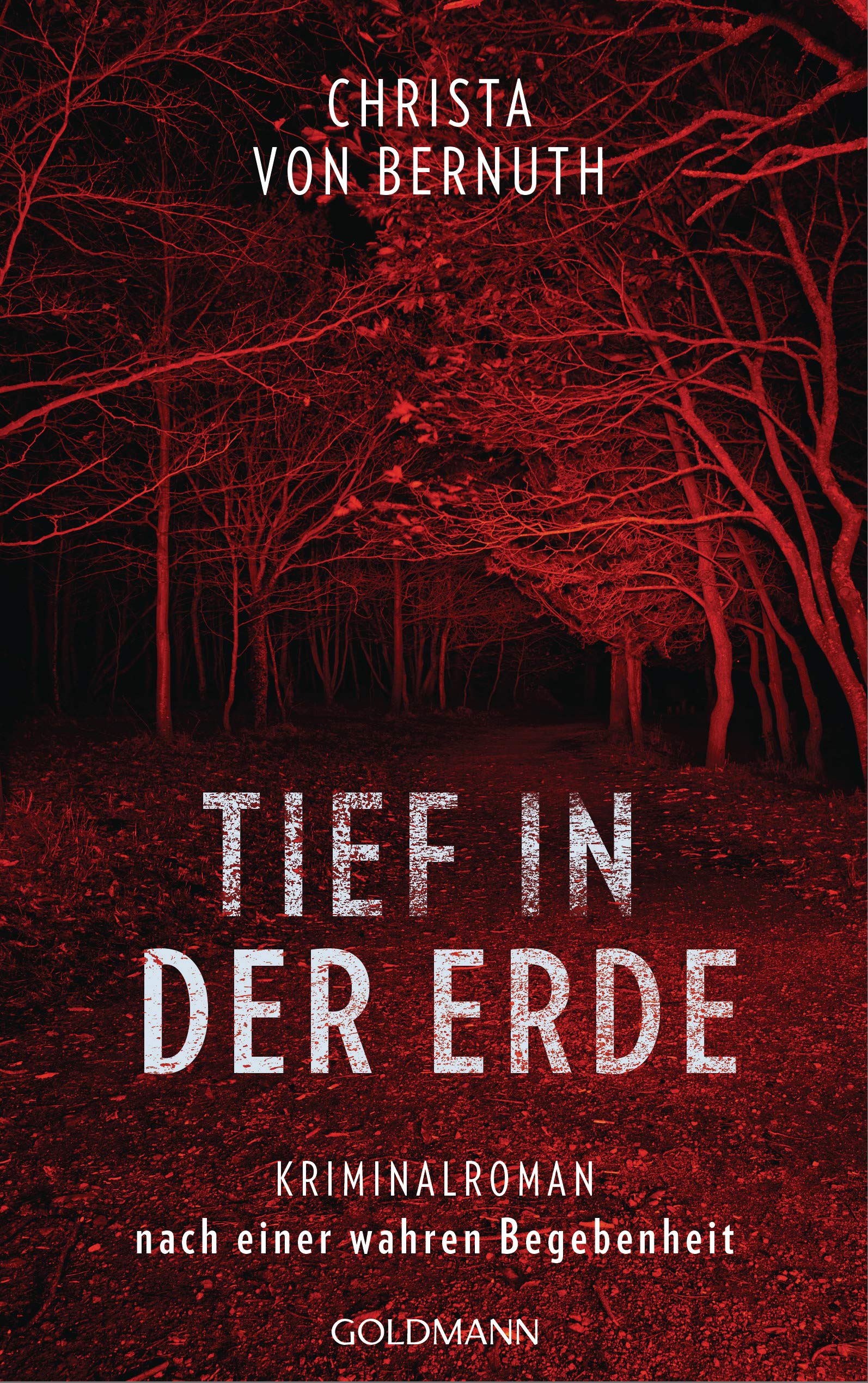 Tief in der Erde book cover