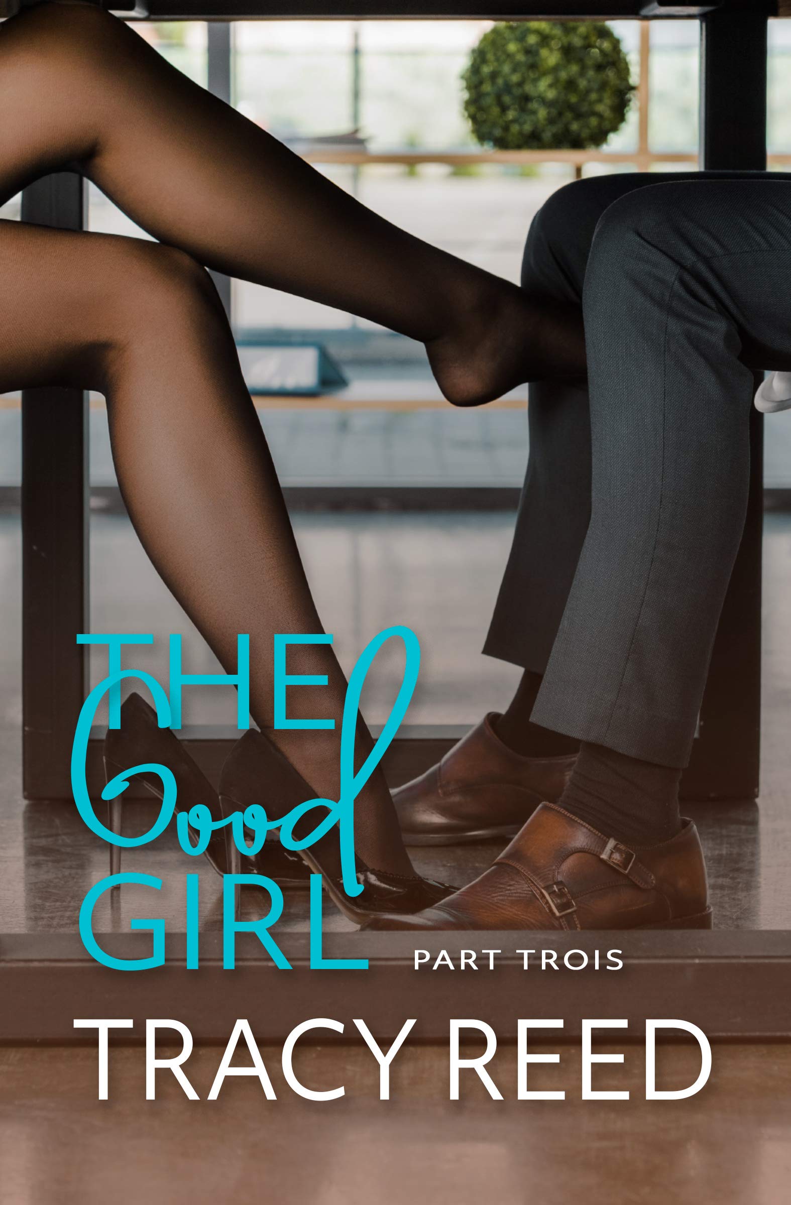 The Good Girl book cover 3