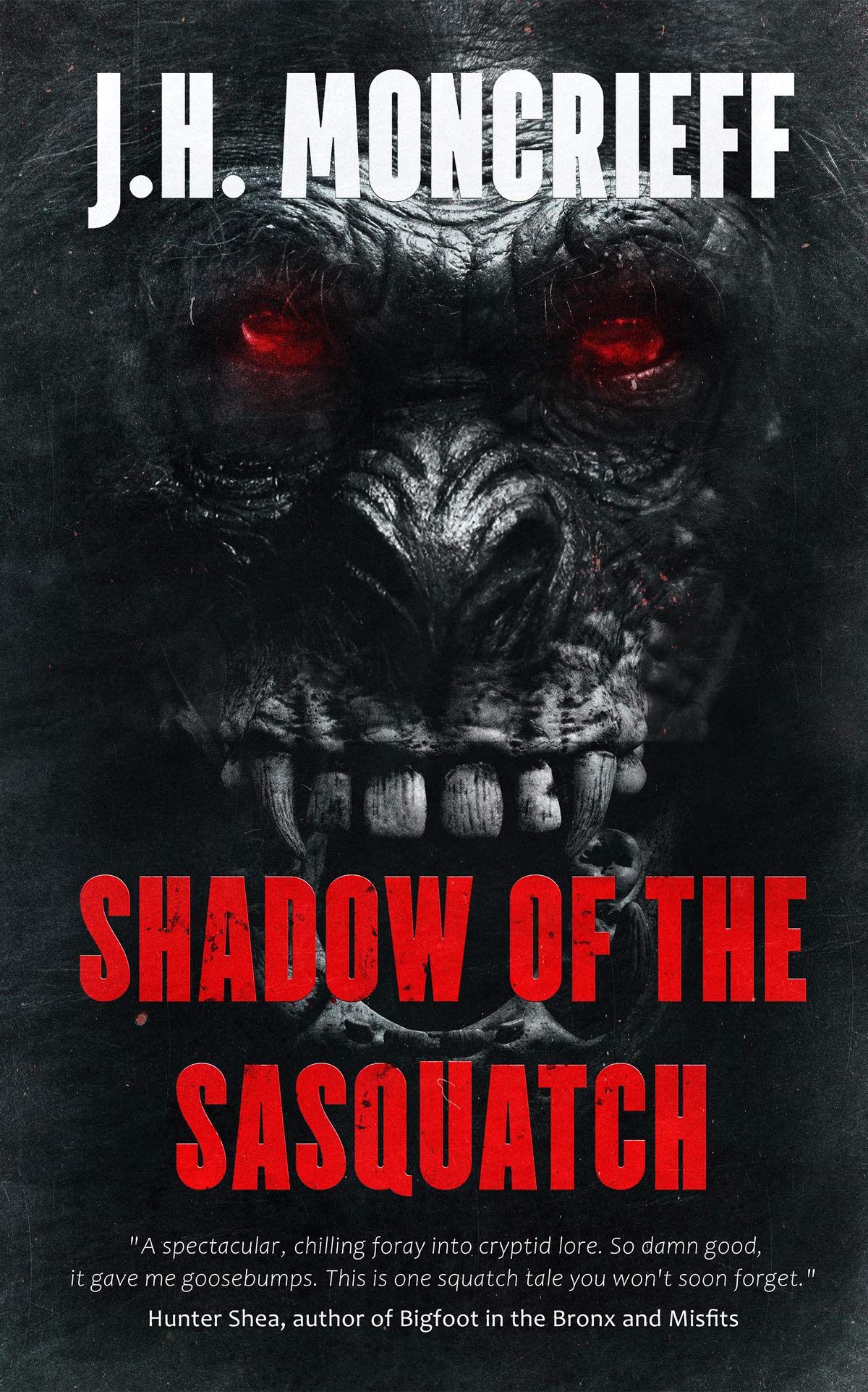 Shadow of the Sasquatch book cover