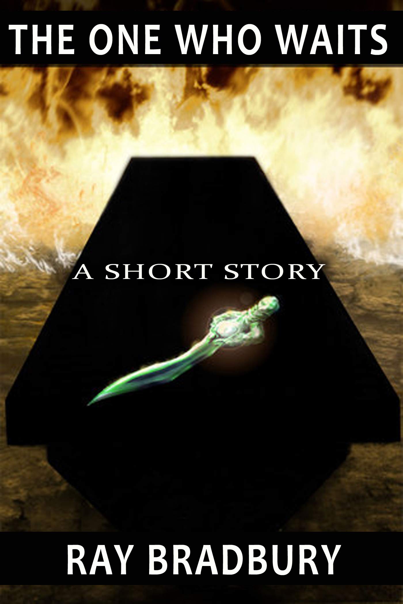 The One Who Waits book cover