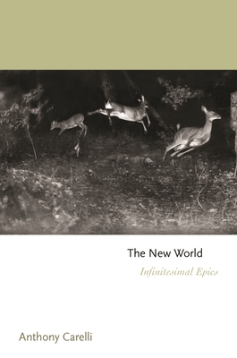 The New World book cover