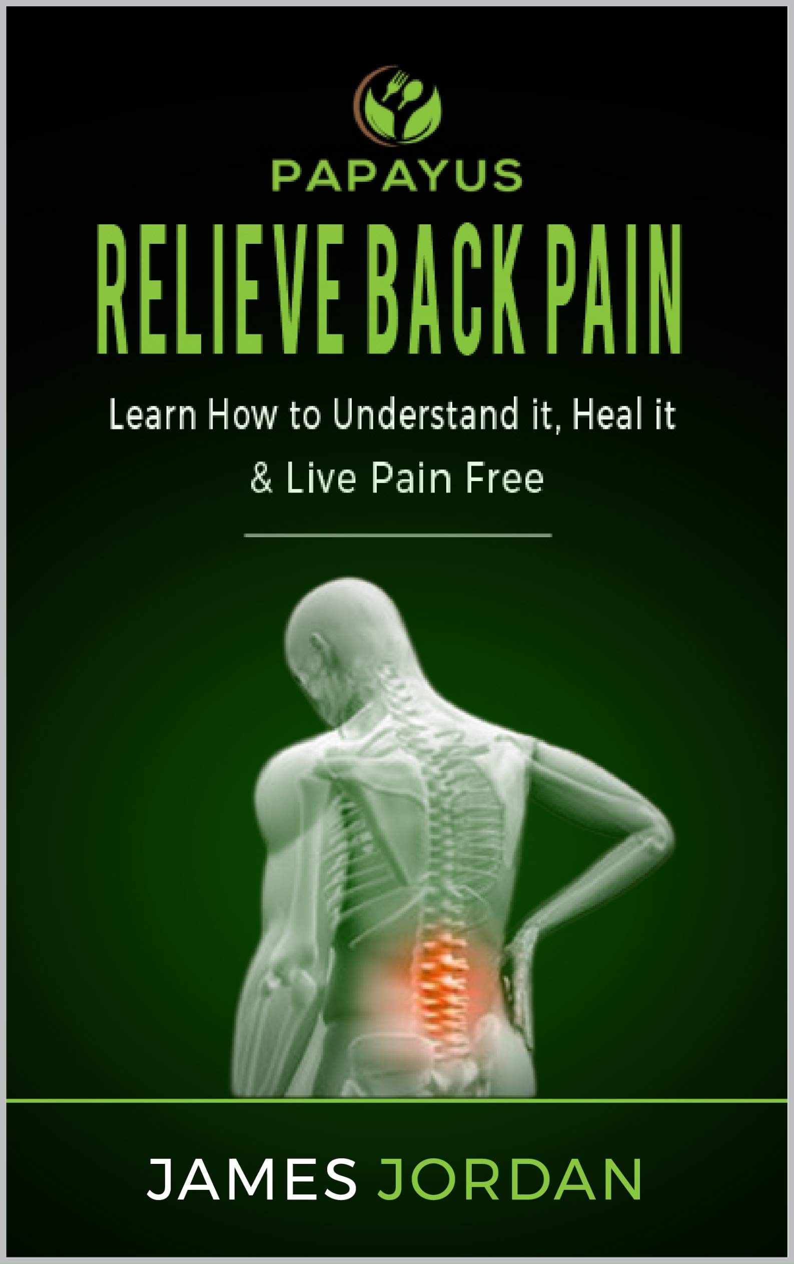 Relieve Back Pain Learn How to Understand it, Heal it & Live Pain Free