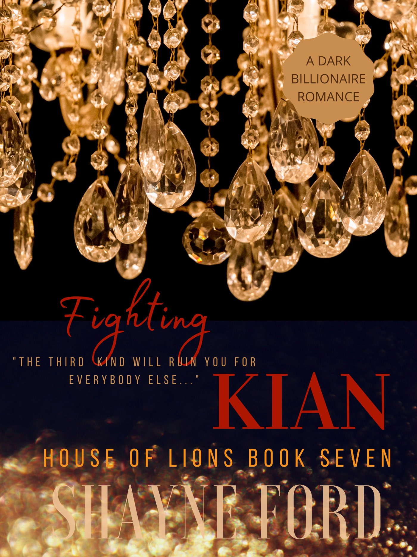 Fighting Kian book cover