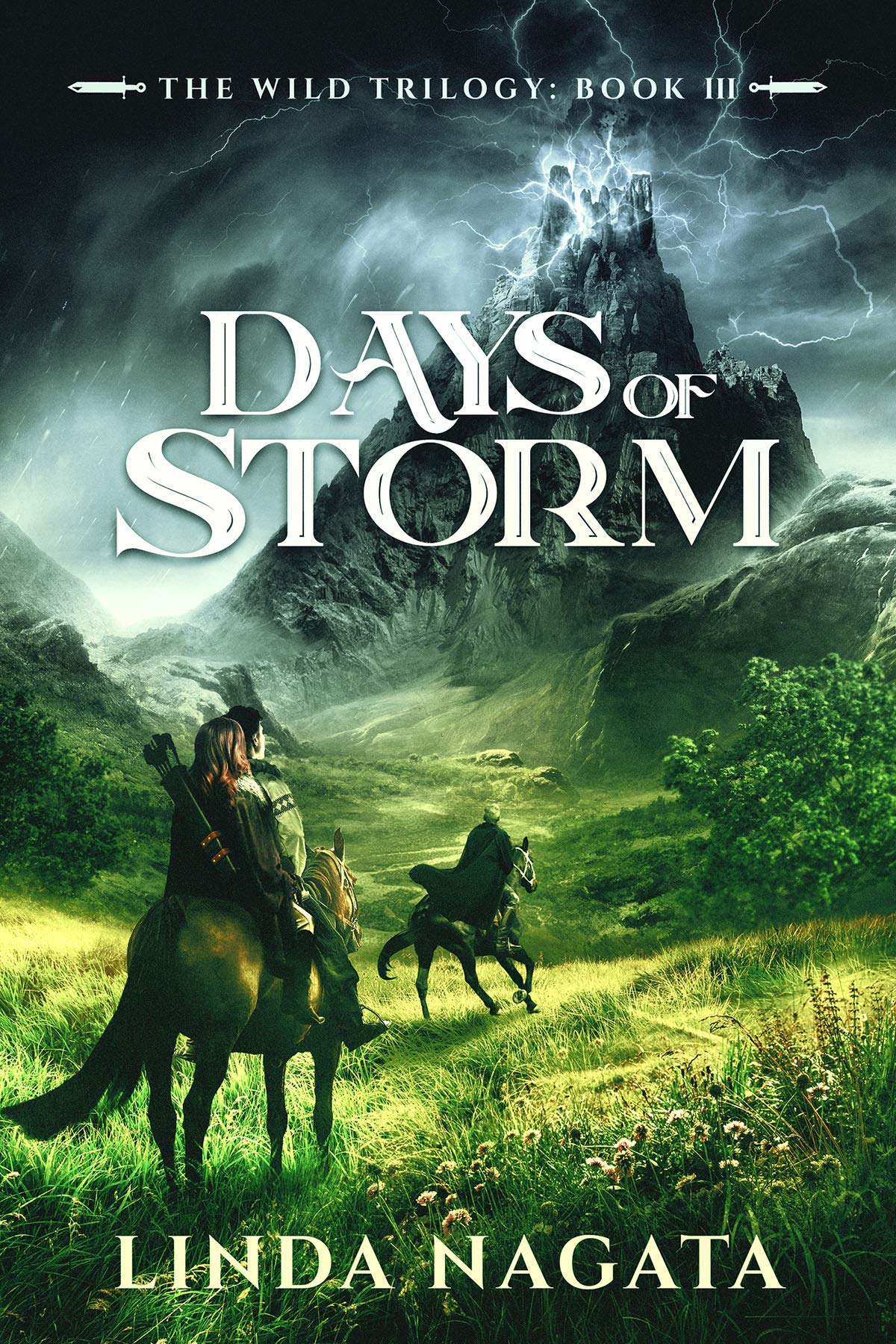 Days of Storm book cover