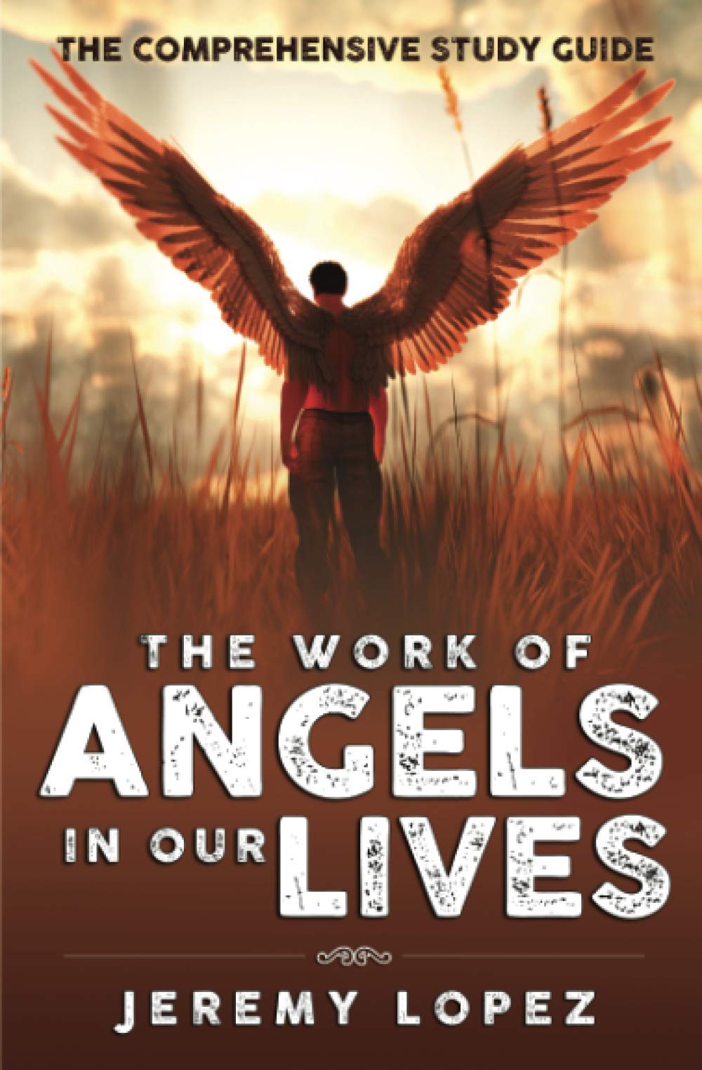 The Work of Angels in Our Lives The Comprehensive Study Guide by Jeremy Lopez Goodreads