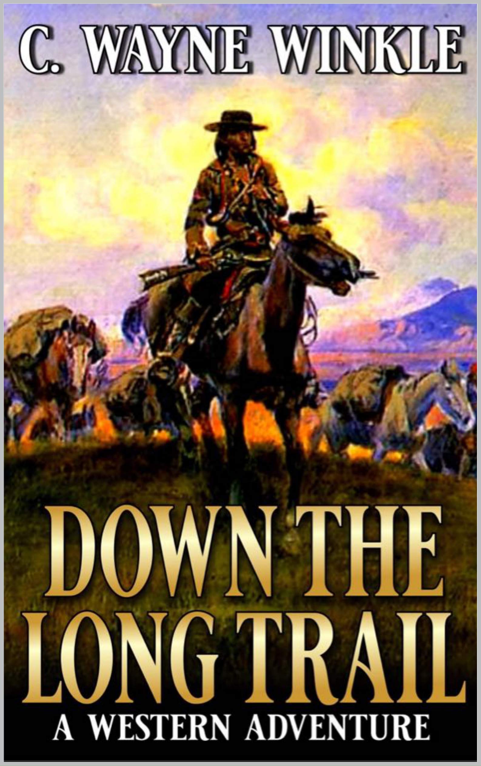Down The Long Trail book cover