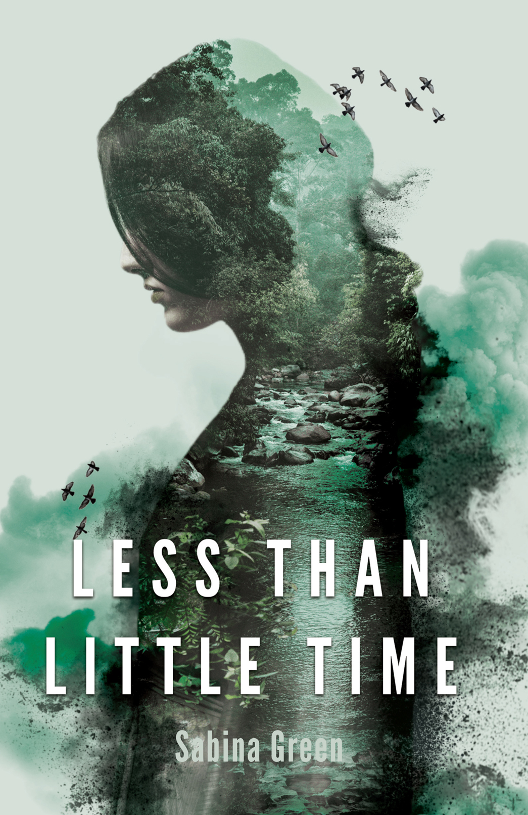 Less Than Little Time book cover
