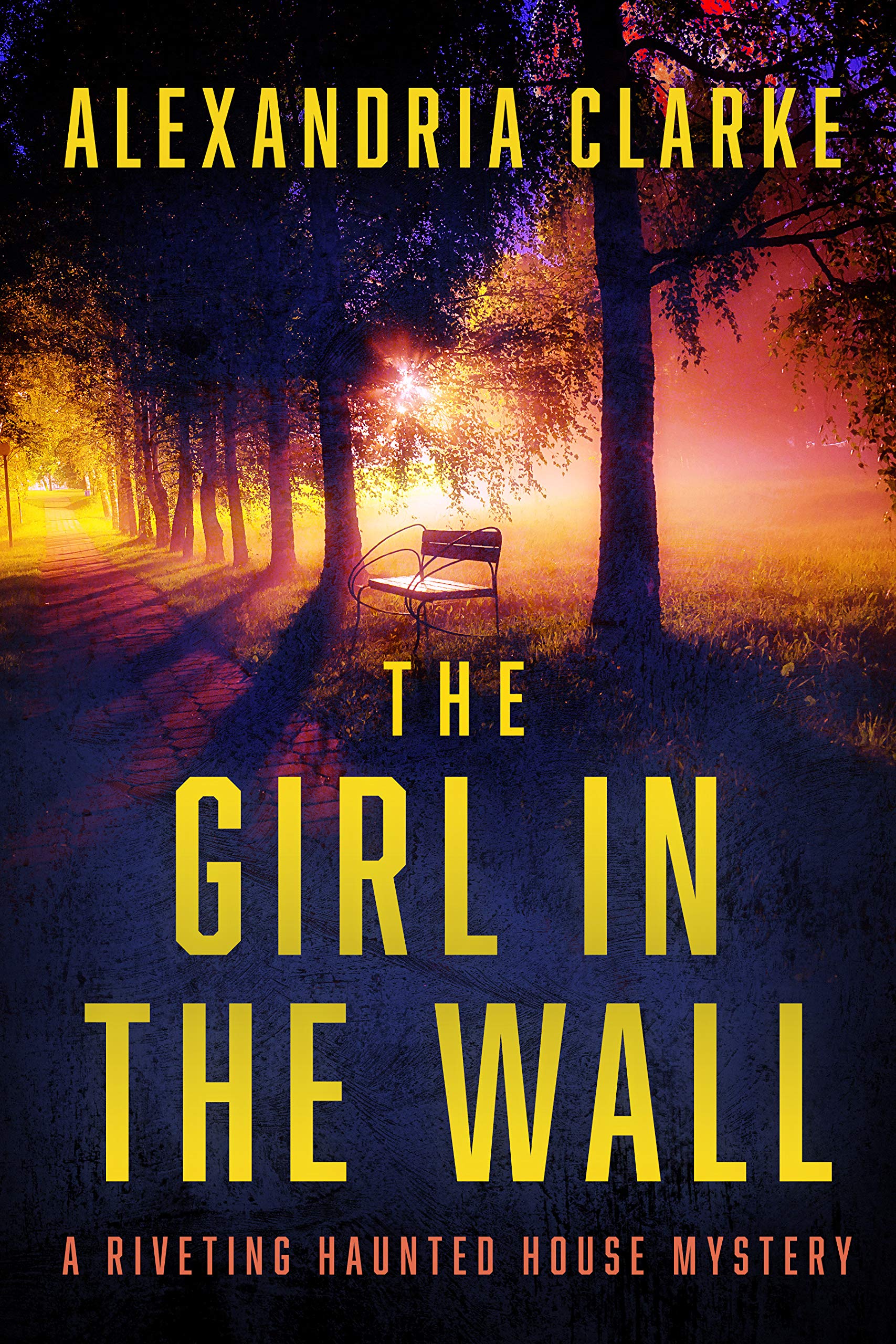 The Girl in The Wall book cover