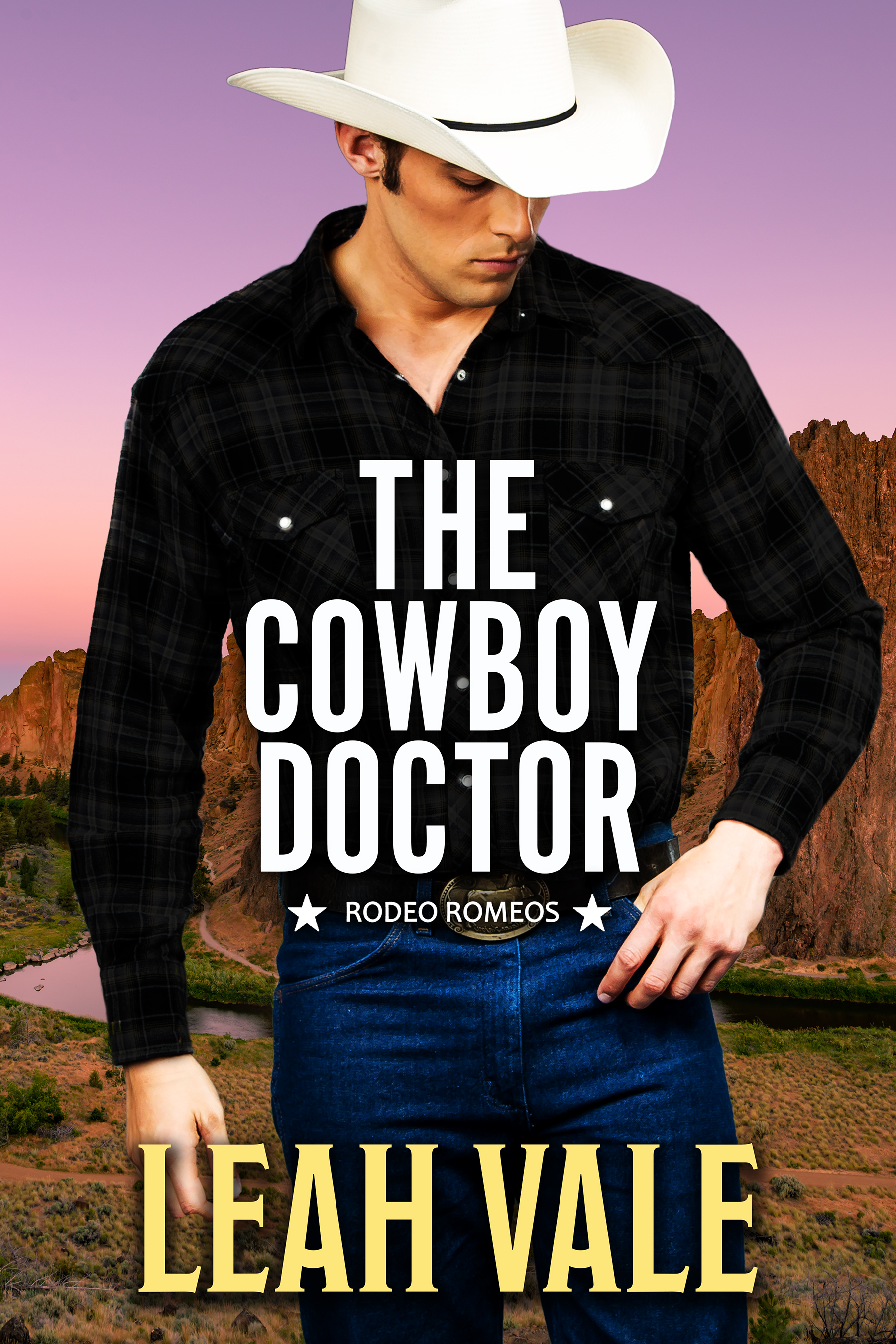 The Cowboy Doctor book cover