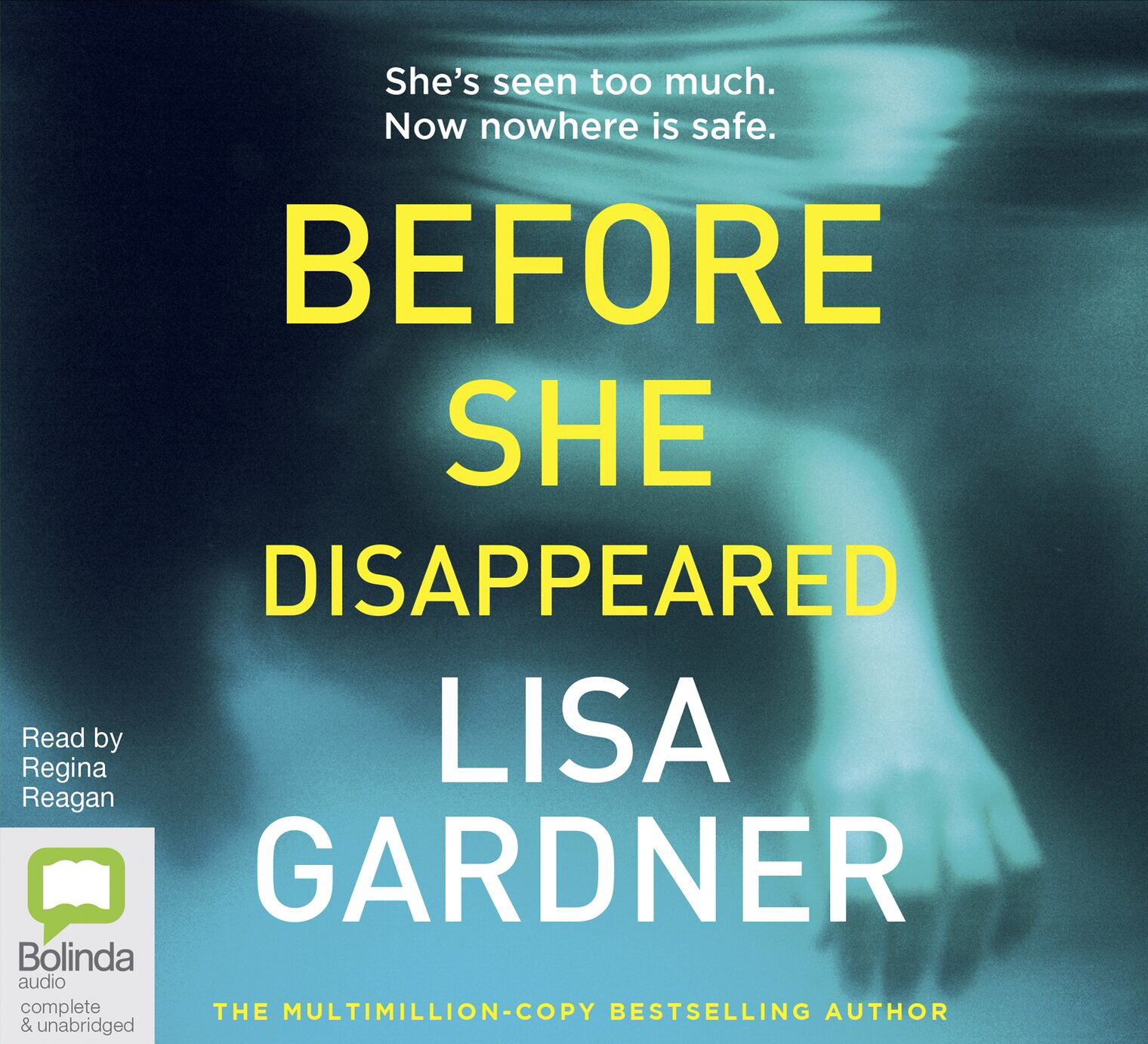 Before She Disappeared (Frankie Elkin, #1)