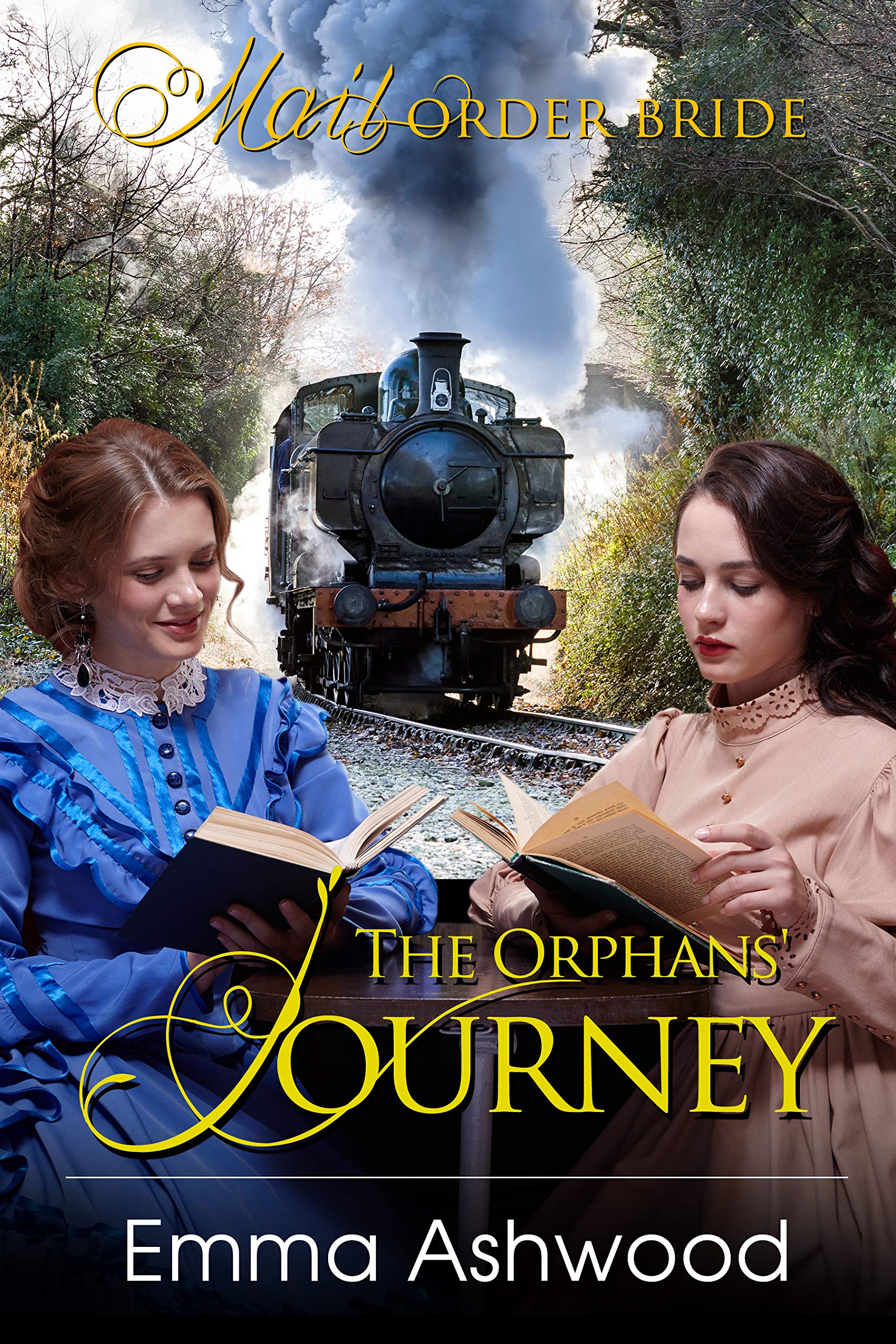 The Orphans' Journey book cover