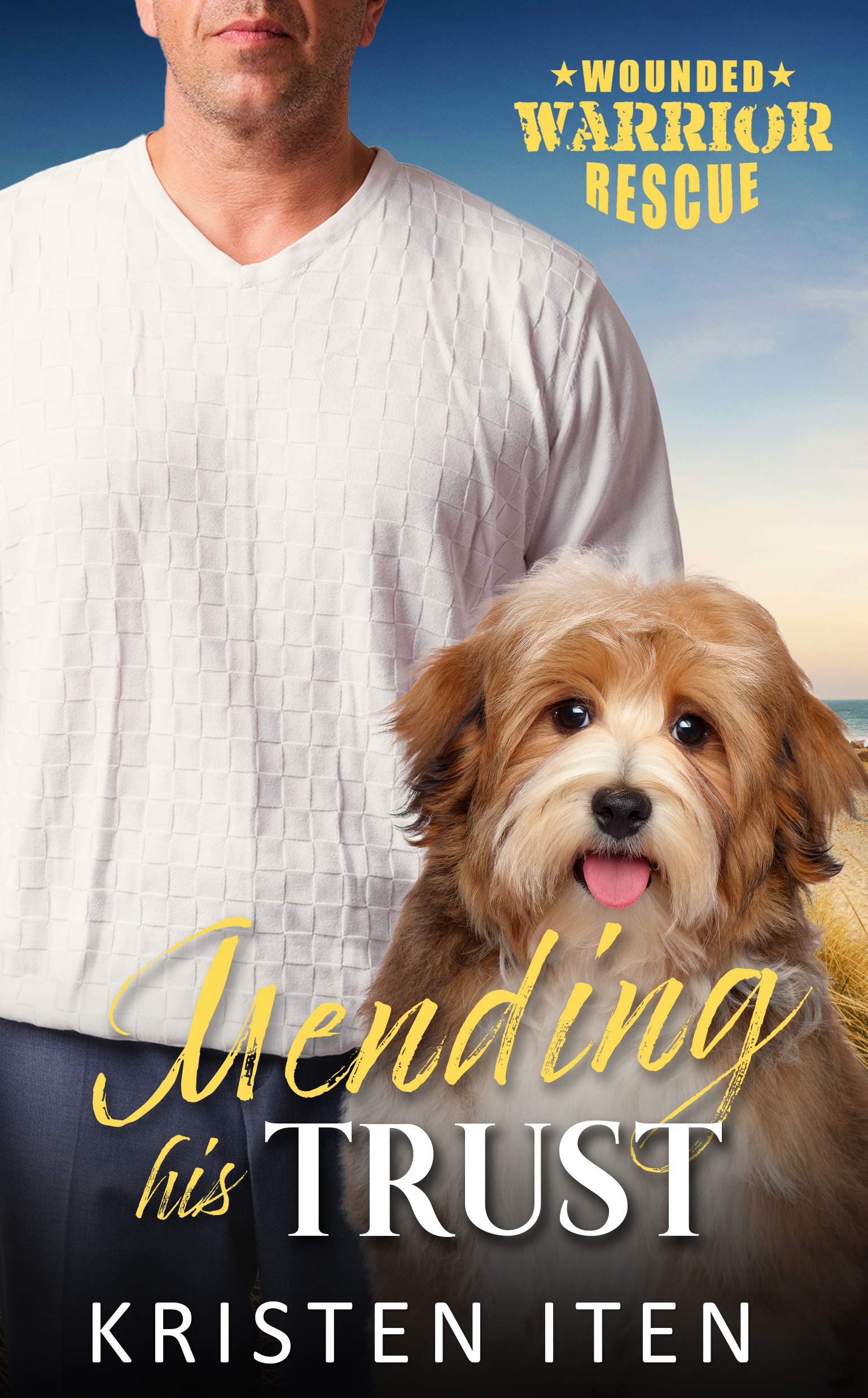 Mending His Trust book cover