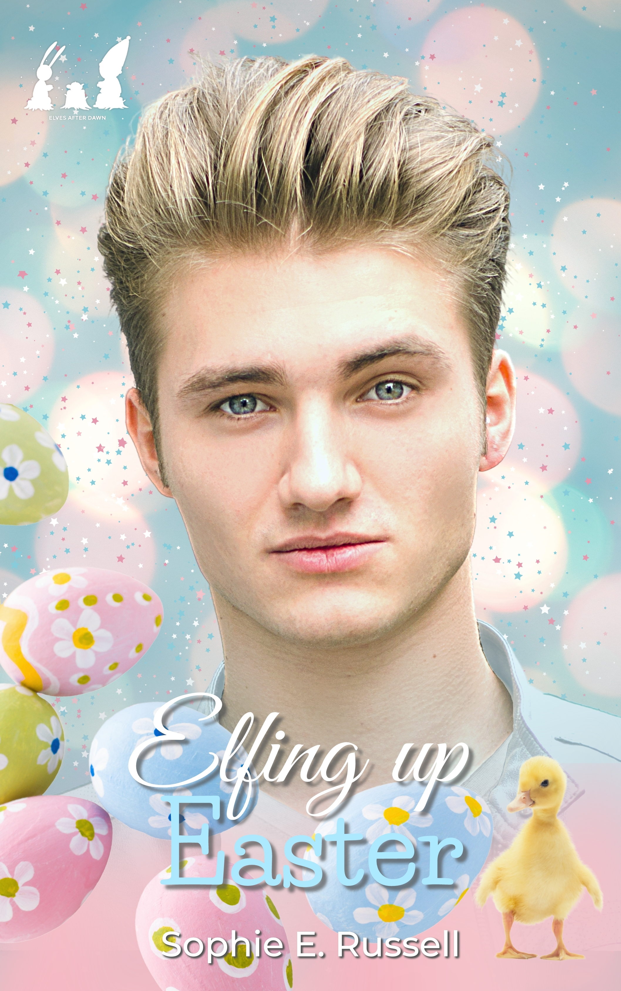 Elves After Dawn book cover 2