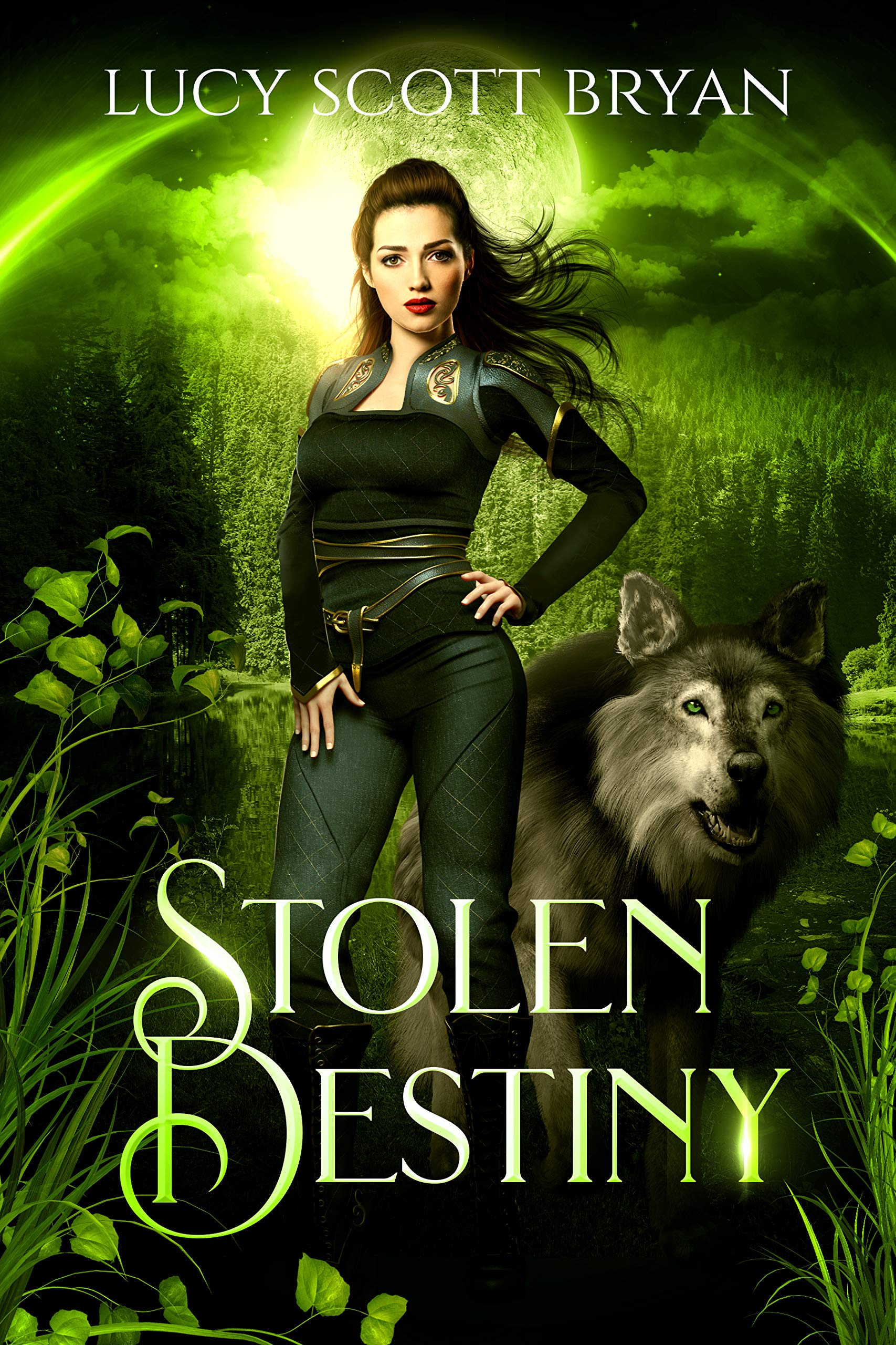 Stolen Destiny book cover