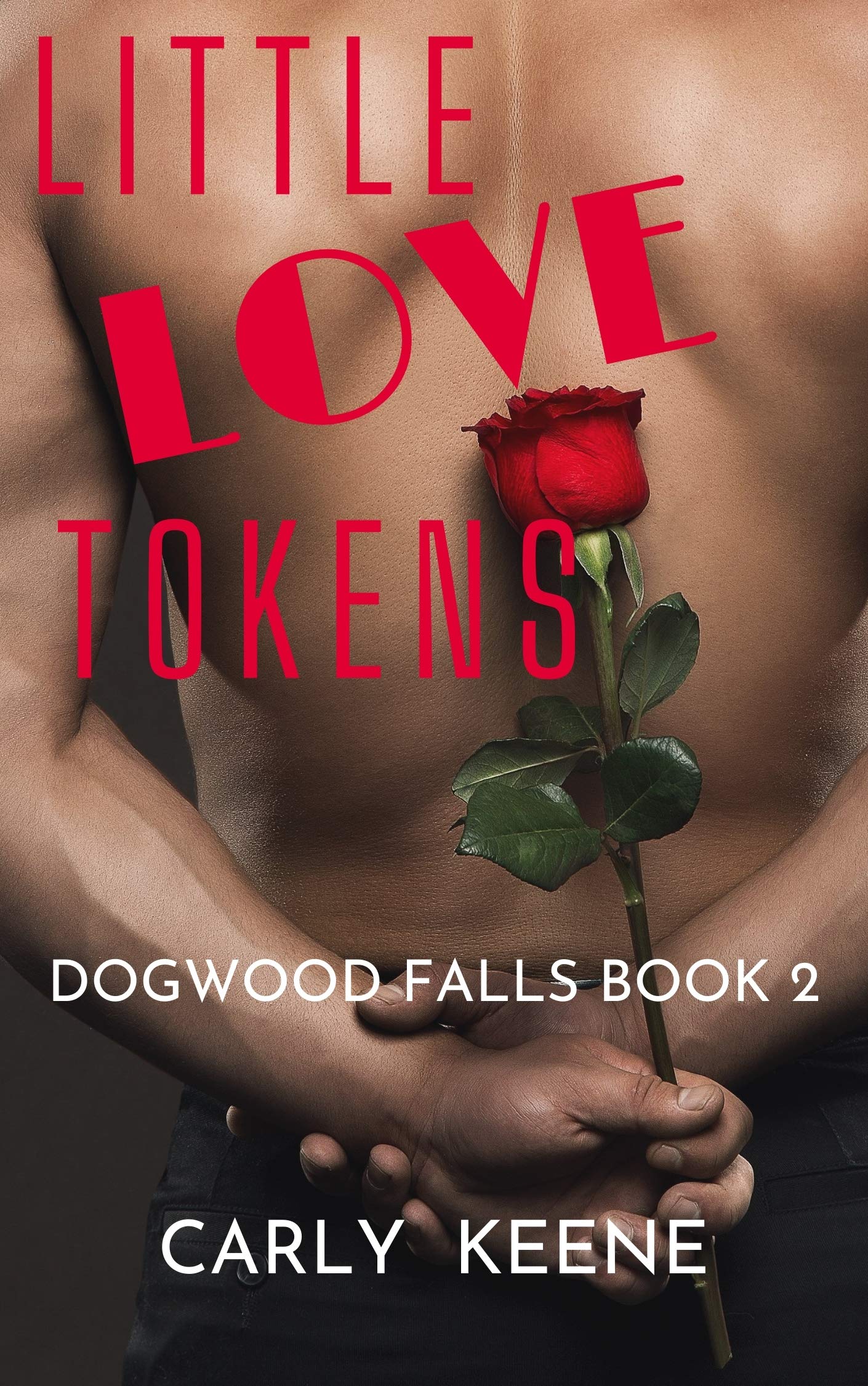 Dogwood Fall book cover 2