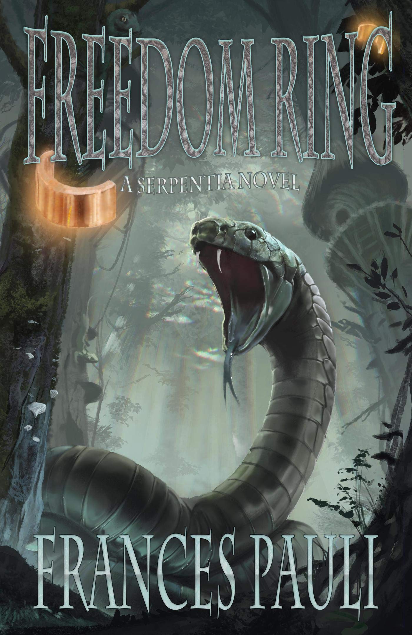 Freedom Ring book cover