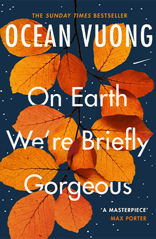 On Earth We're Briefly Gorgeous