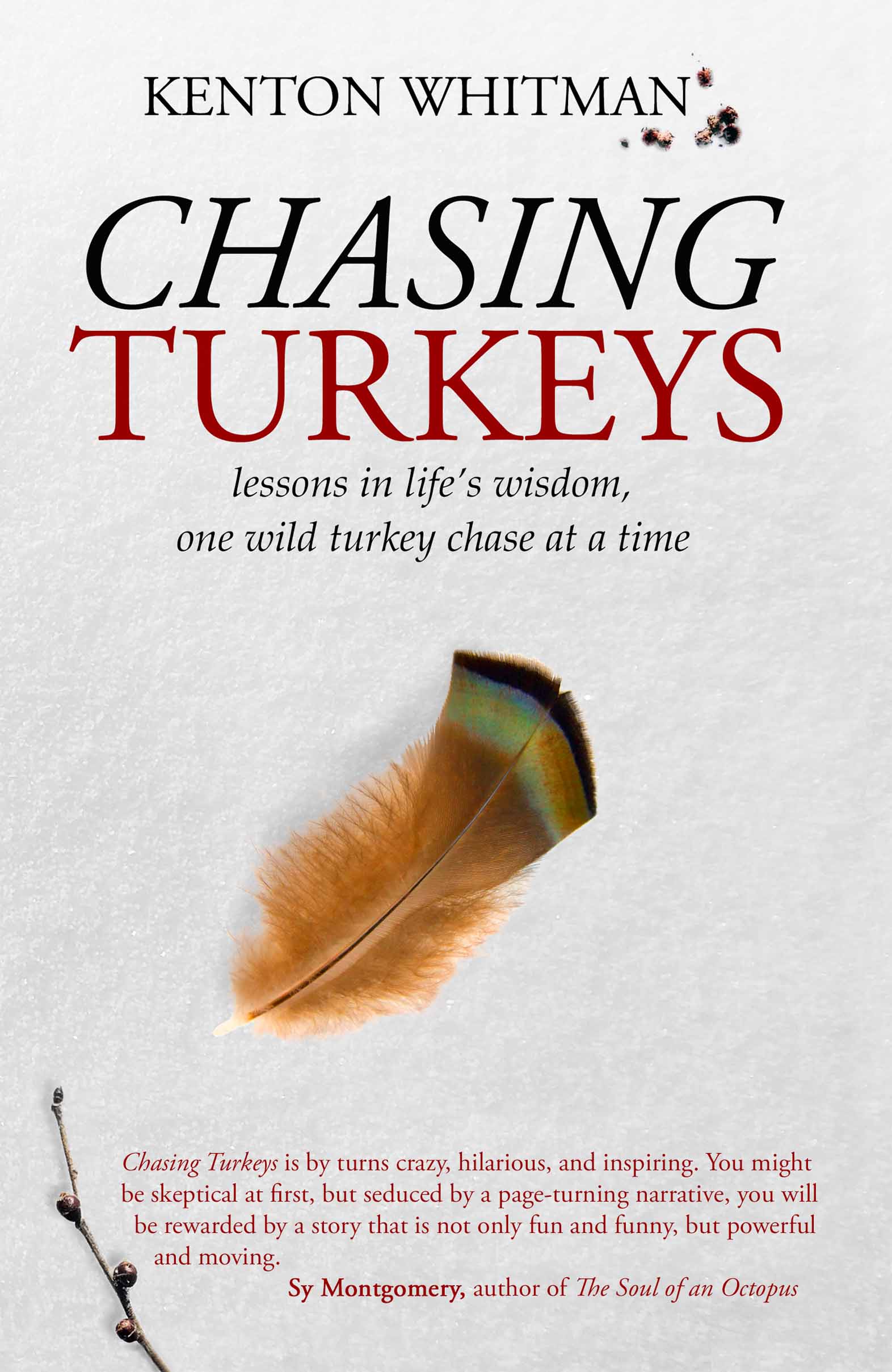 Chasing Turkeys, Lessons in Life's Wisdom, One Wild Turkey Chase at a