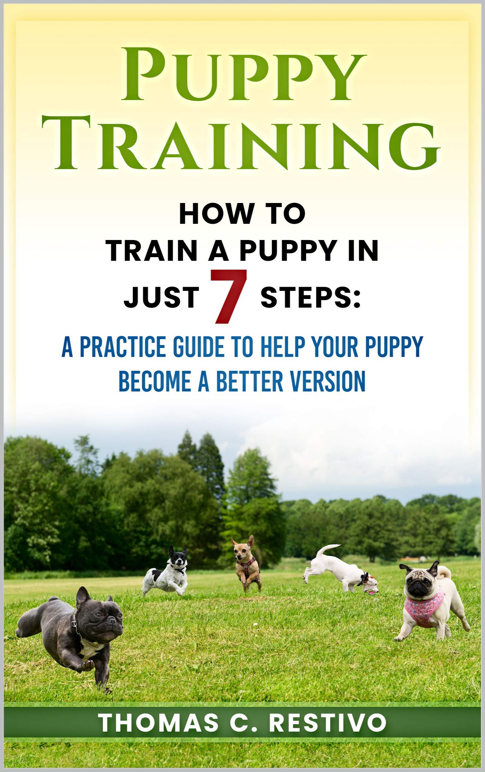 Puppy training How to train a puppy in just 7 steps A Practice Guide