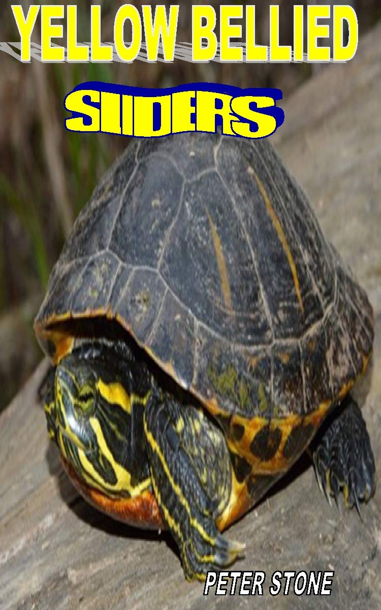 YELLOW BELLIED SLIDERS The Complete Guides On How To Take Good Care Of