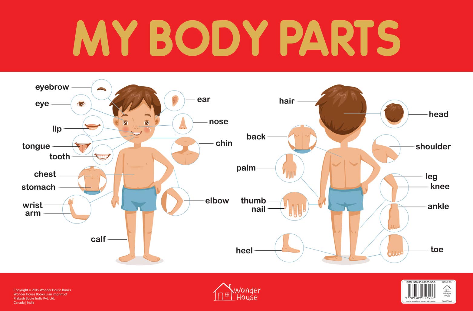 My Body Parts Chart - Early Learning Educational Chart For Kids ...