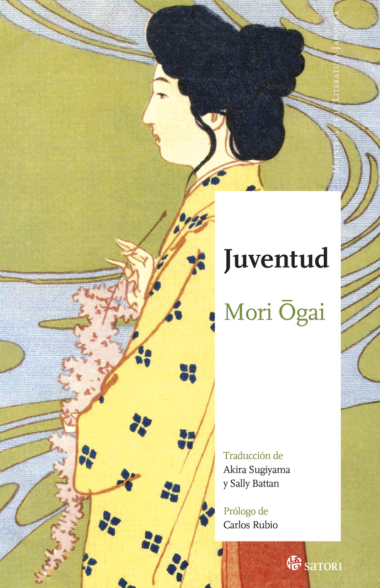 Juventud book cover