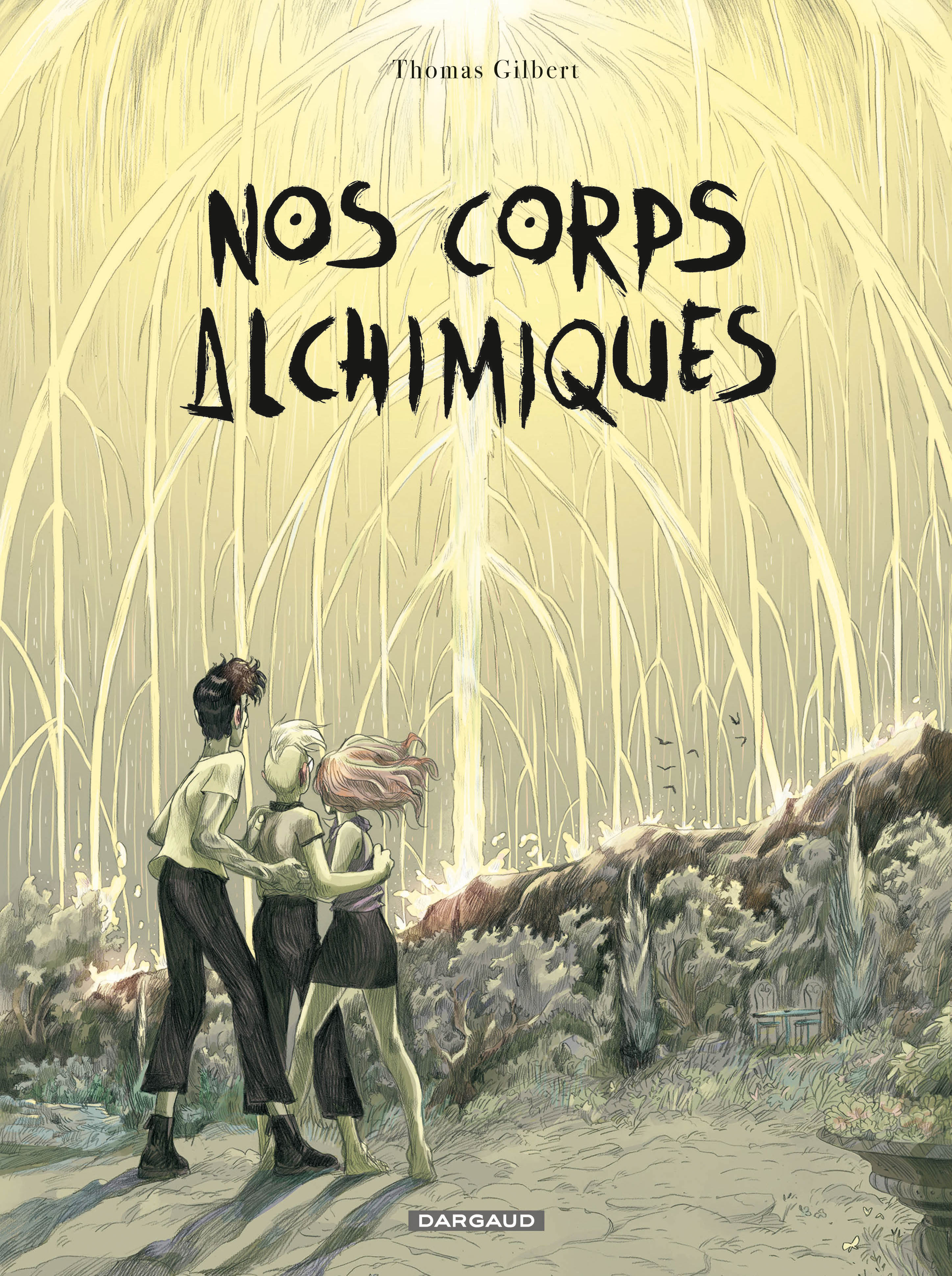 Nos corps alchimiques book cover
