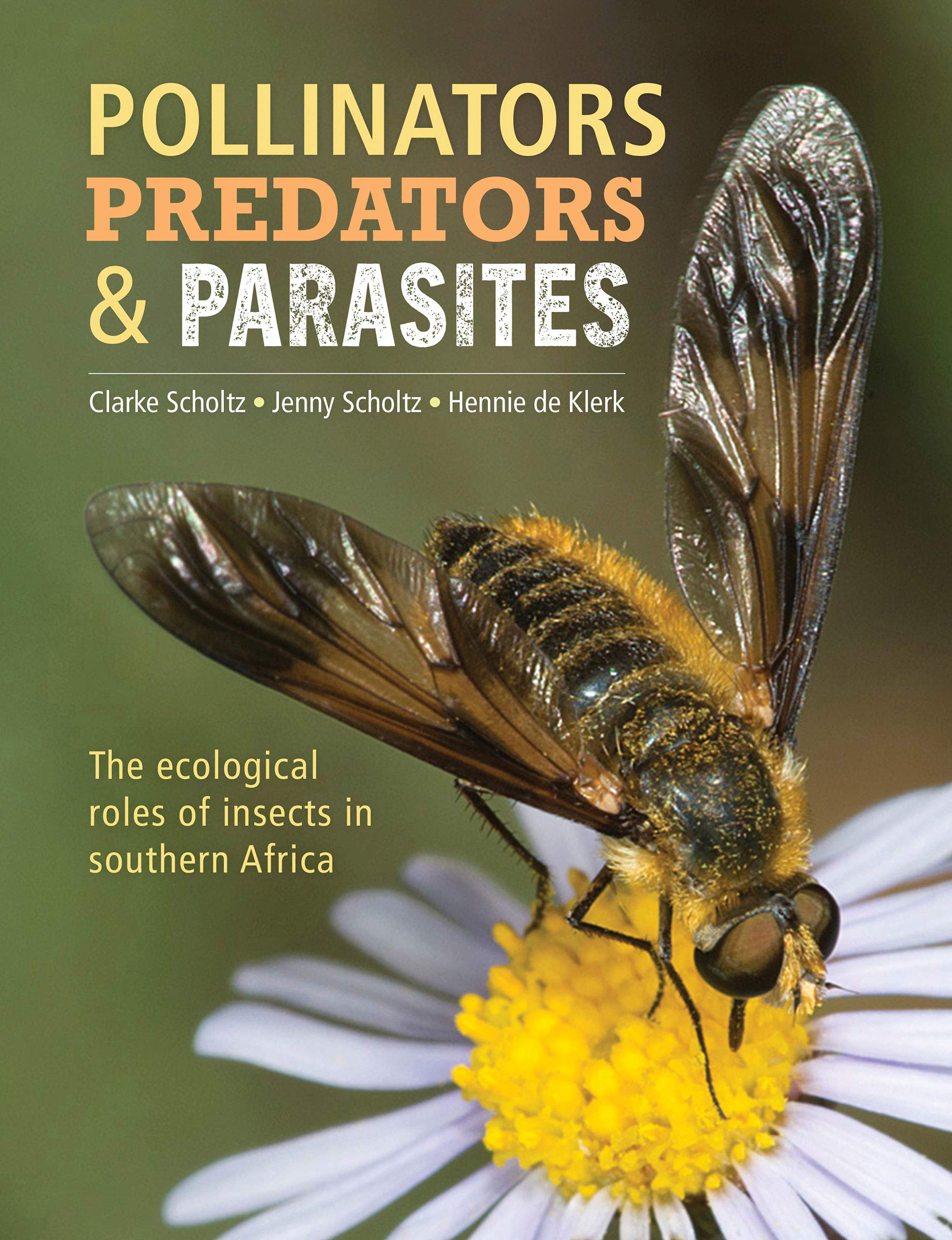 Pollinators, Predators & Parasites: The ecological roles of insects in ...