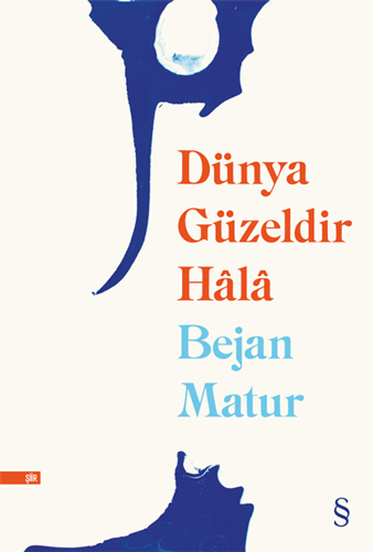 Dünya Güzeldir Hâlâ book cover