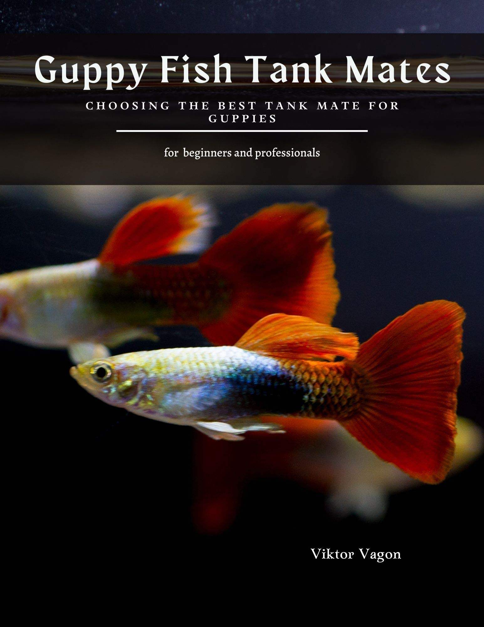 Guppy Fish Tank Mates Choosing the Best Tank Mate for Guppies by Viktor Vagon Goodreads