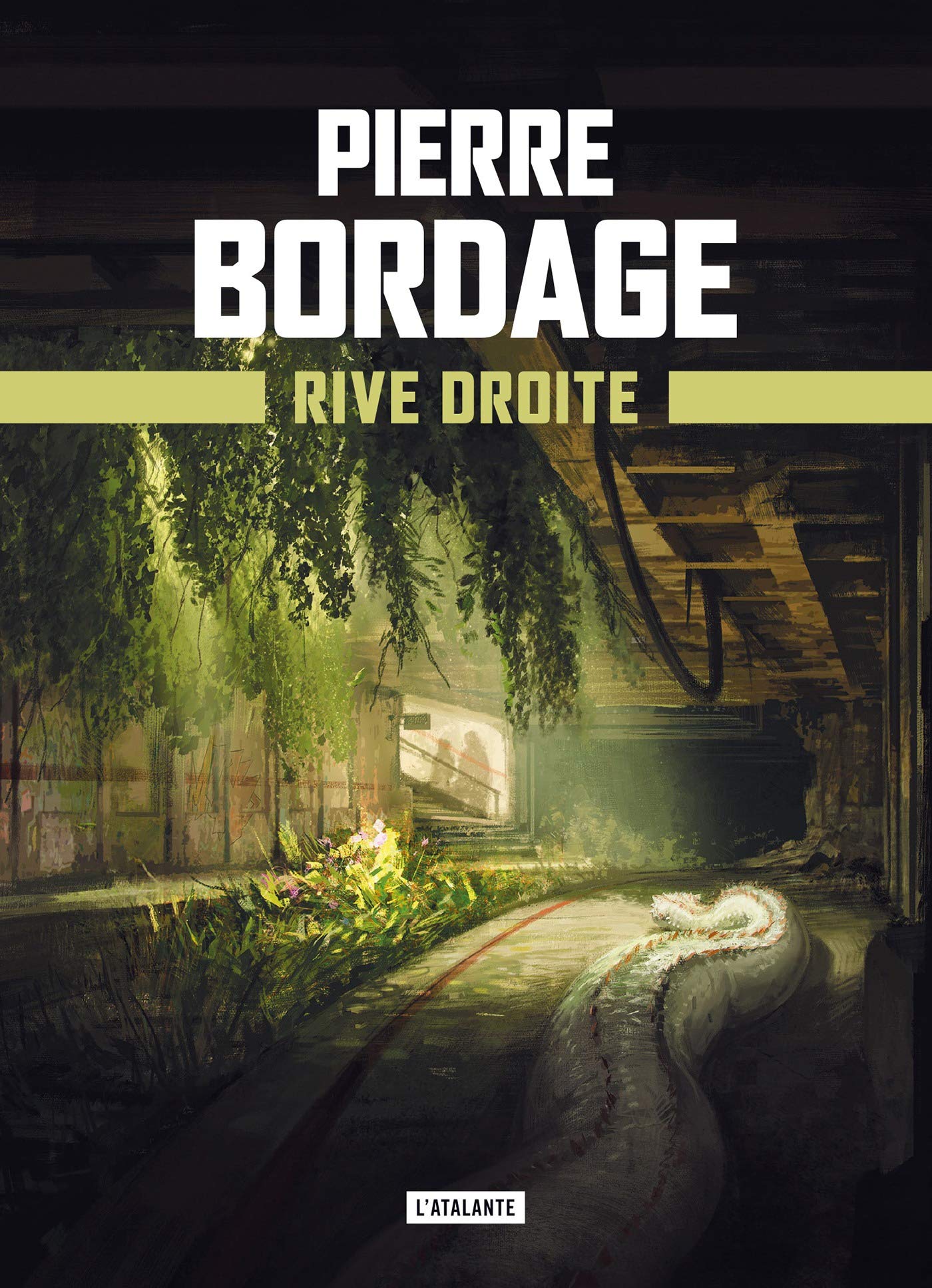 Rive Droite book cover