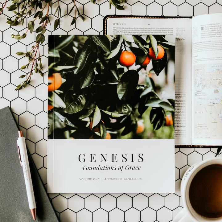 Foundations of Grace: A Study of Genesis 1-11
