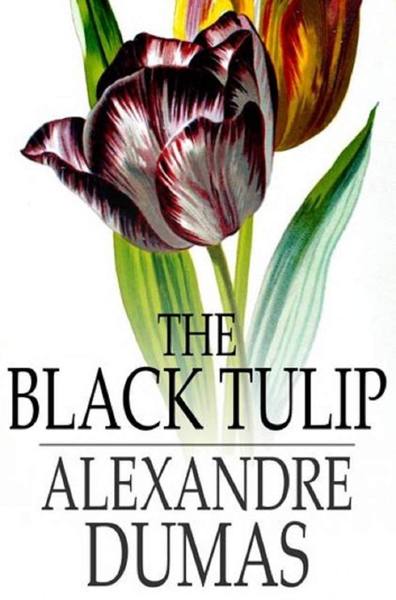 The Black TulipAlexander Dumas Original Historical Novel by Alexandre