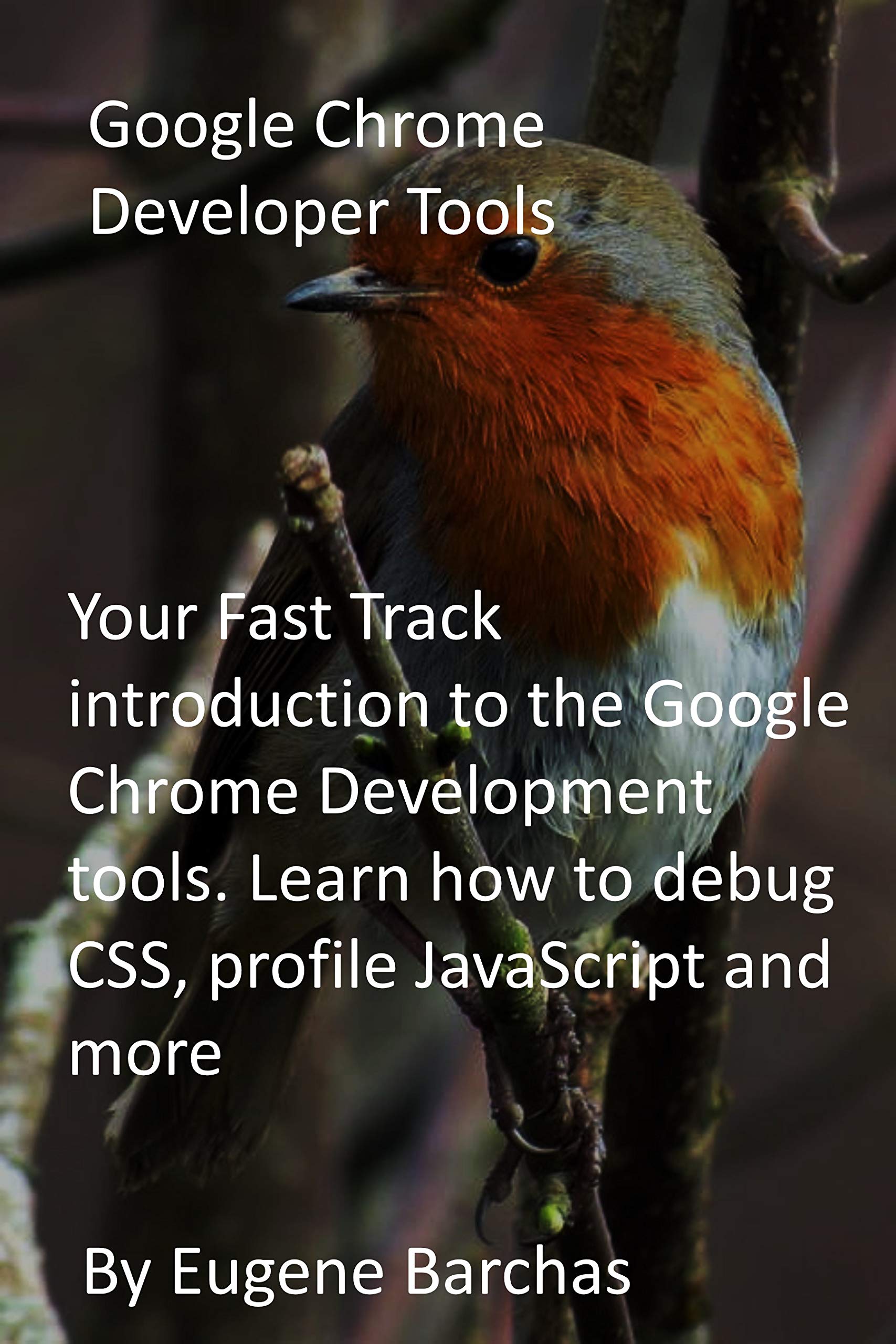 Google Chrome Developer Tools: Your Fast Track introduction to the ...