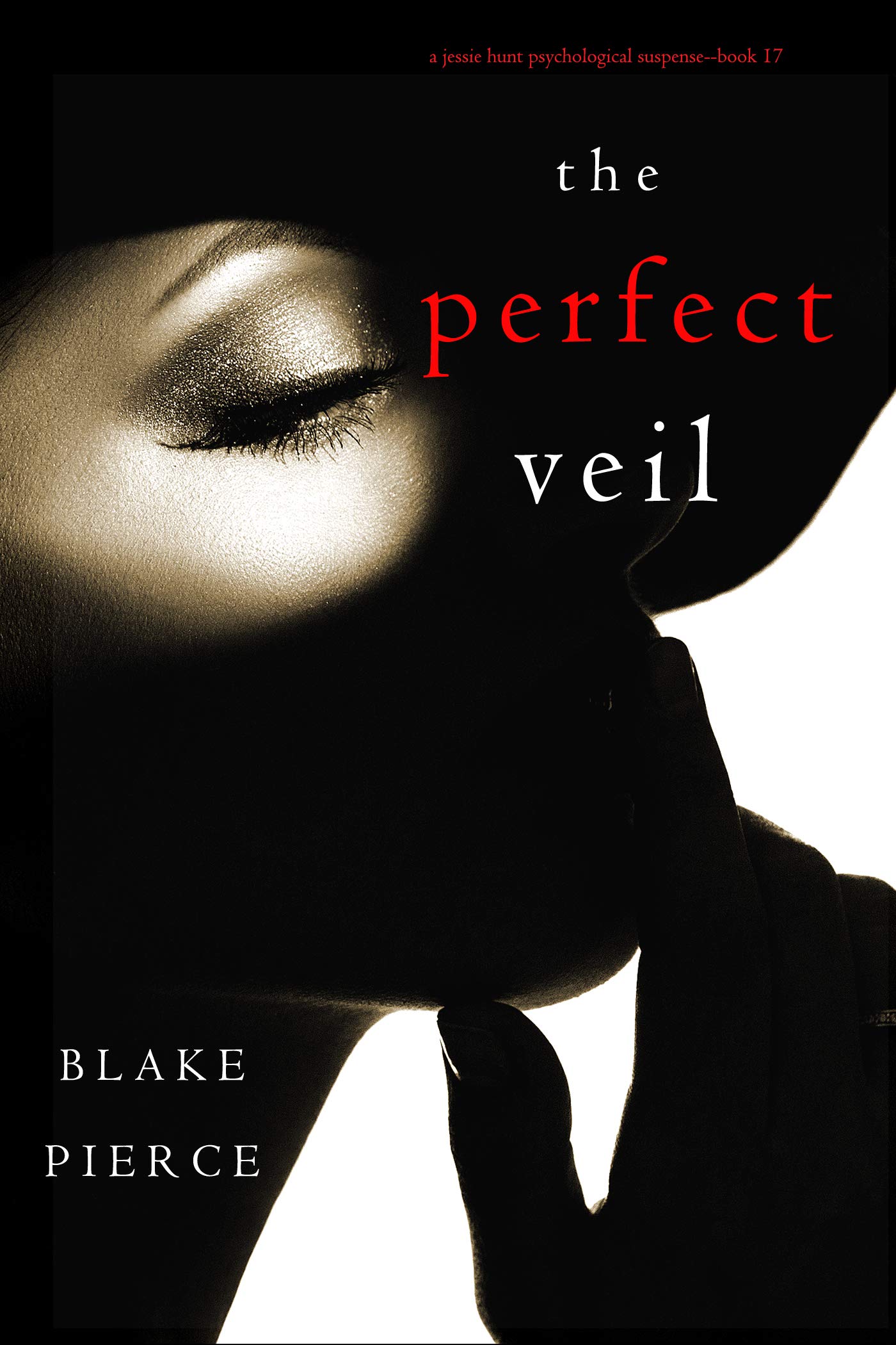 The Perfect Veil book cover