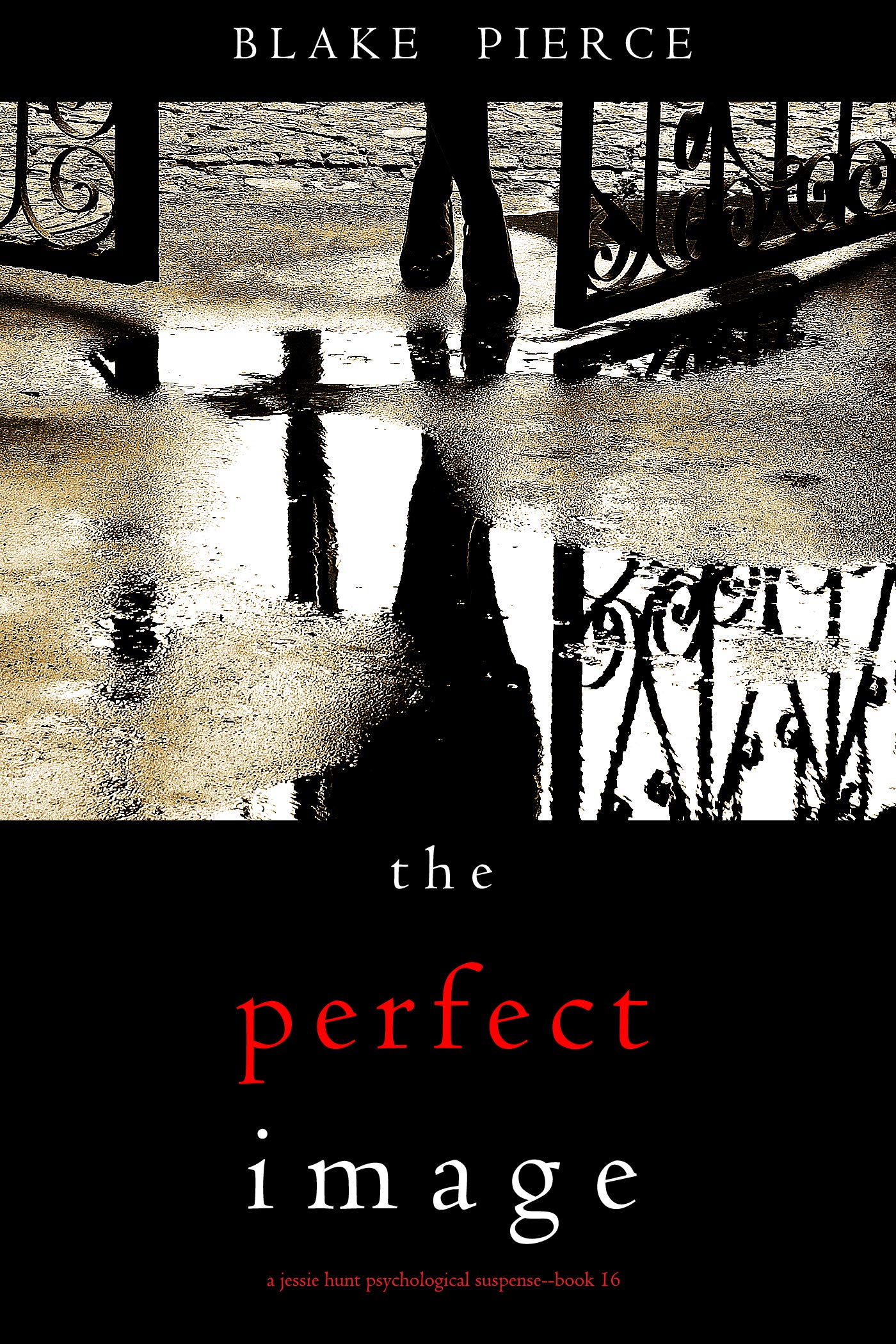 The Perfect Image book cover