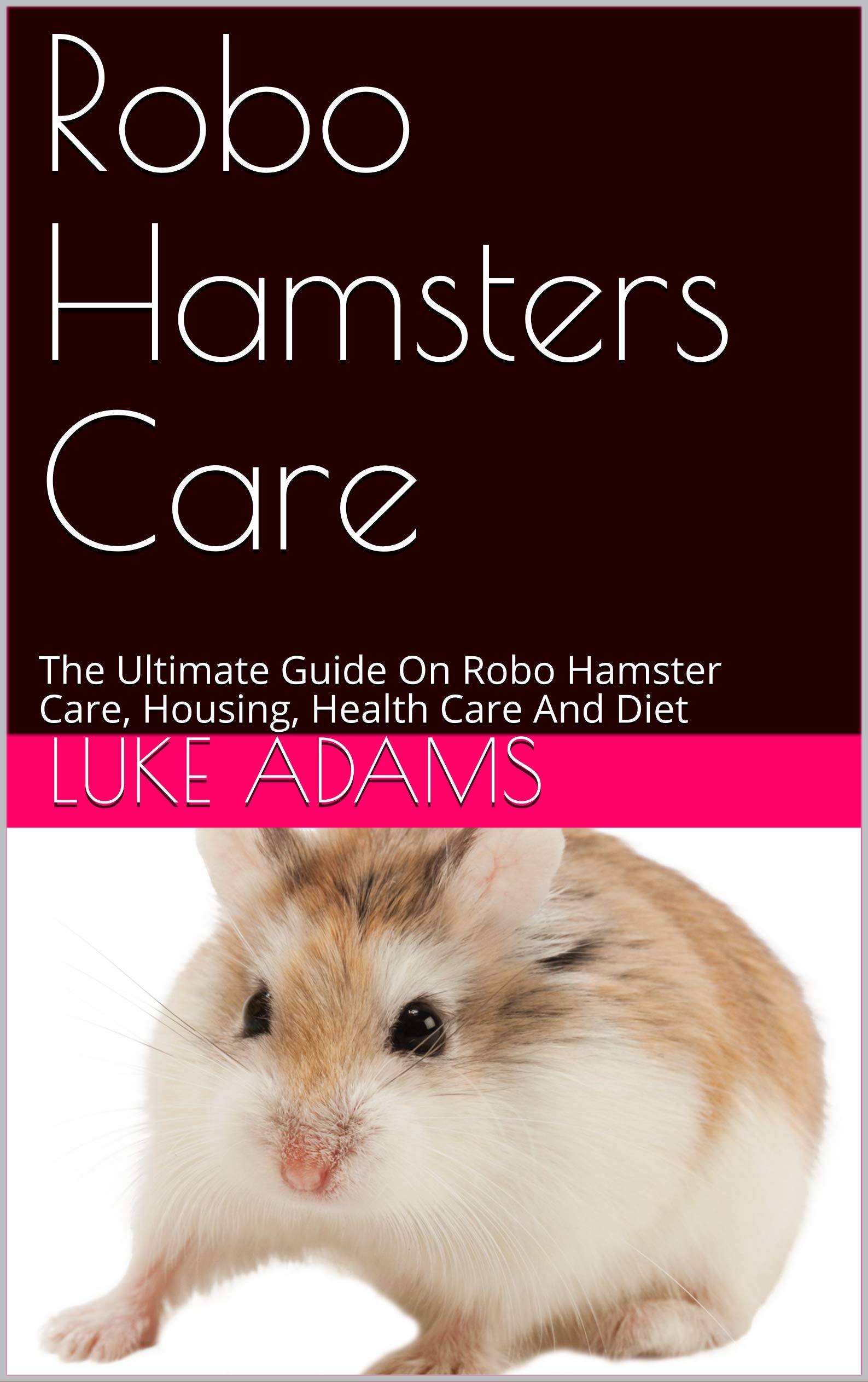 Robo Hamsters Care Everything You Need To Know About Robo Hamsters by