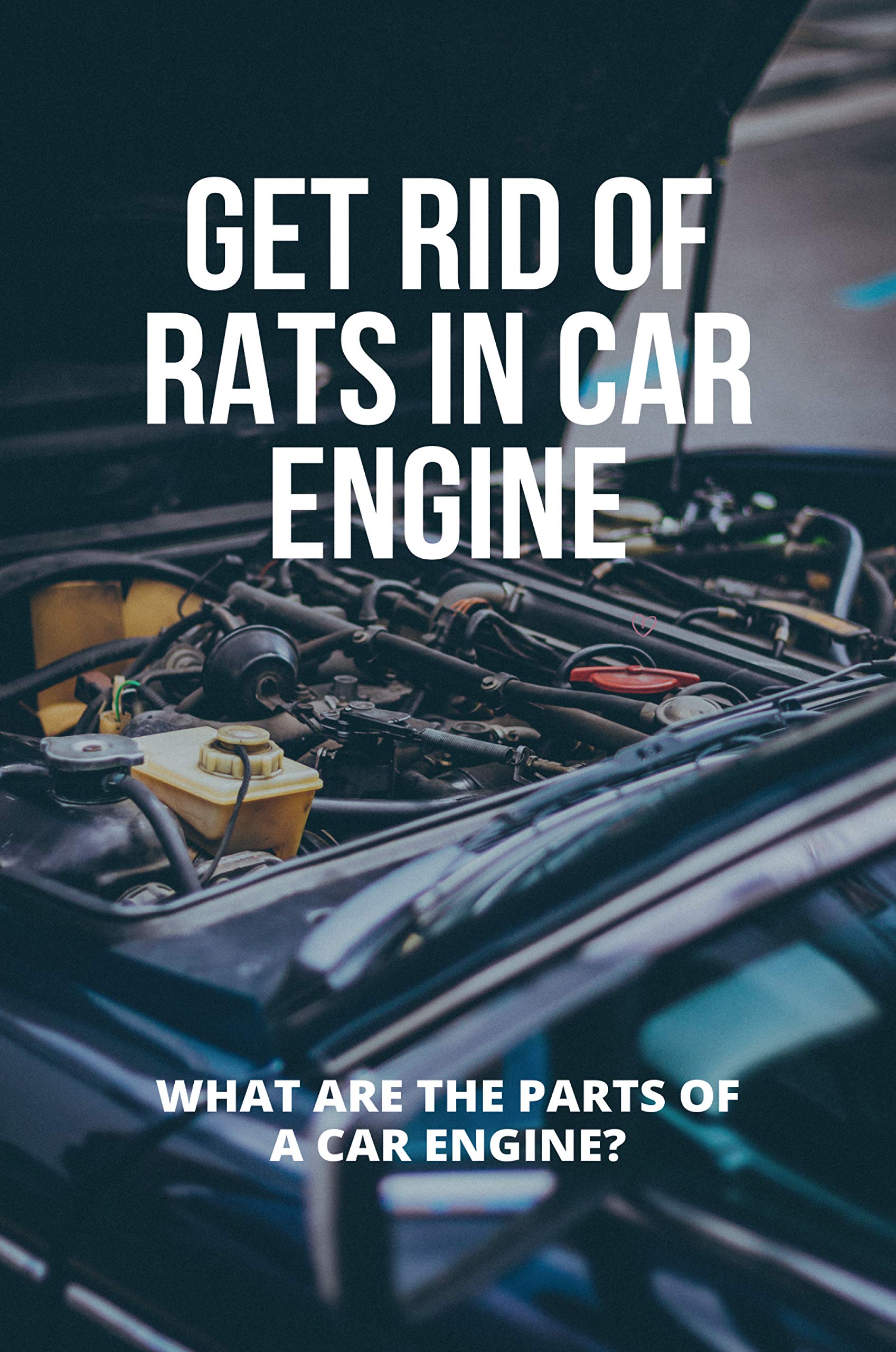Get Rid Of Rats In Car Engine What Are The Parts Of A Car Engine? Car