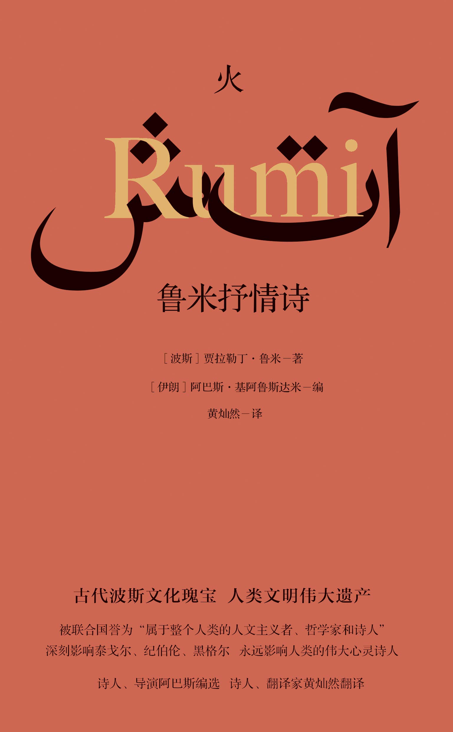 火：鲁米抒情诗 book cover